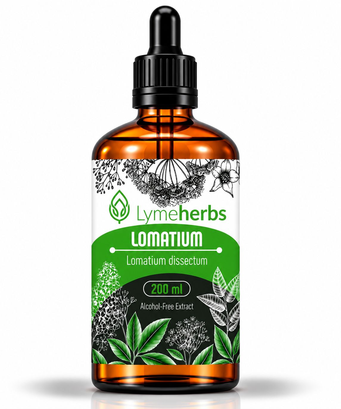 Bernsteinfarbene Glasflasche mit Pipettenverschluss, gefüllt mit Lomatium-Extrakt. Etikett mit Pflanzenmotiven und Produktinformationen.
