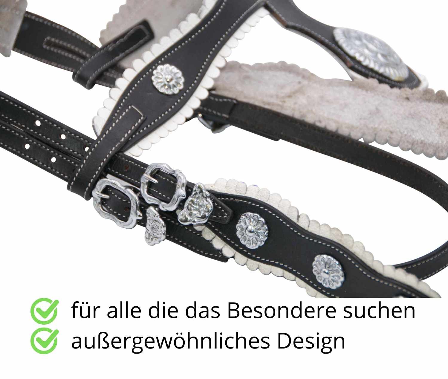 Schwarze Trense mit silbernen Ornamenten und weißen Ziernähten. Beschläge und Verzierungen. Außergewöhnliches Design.