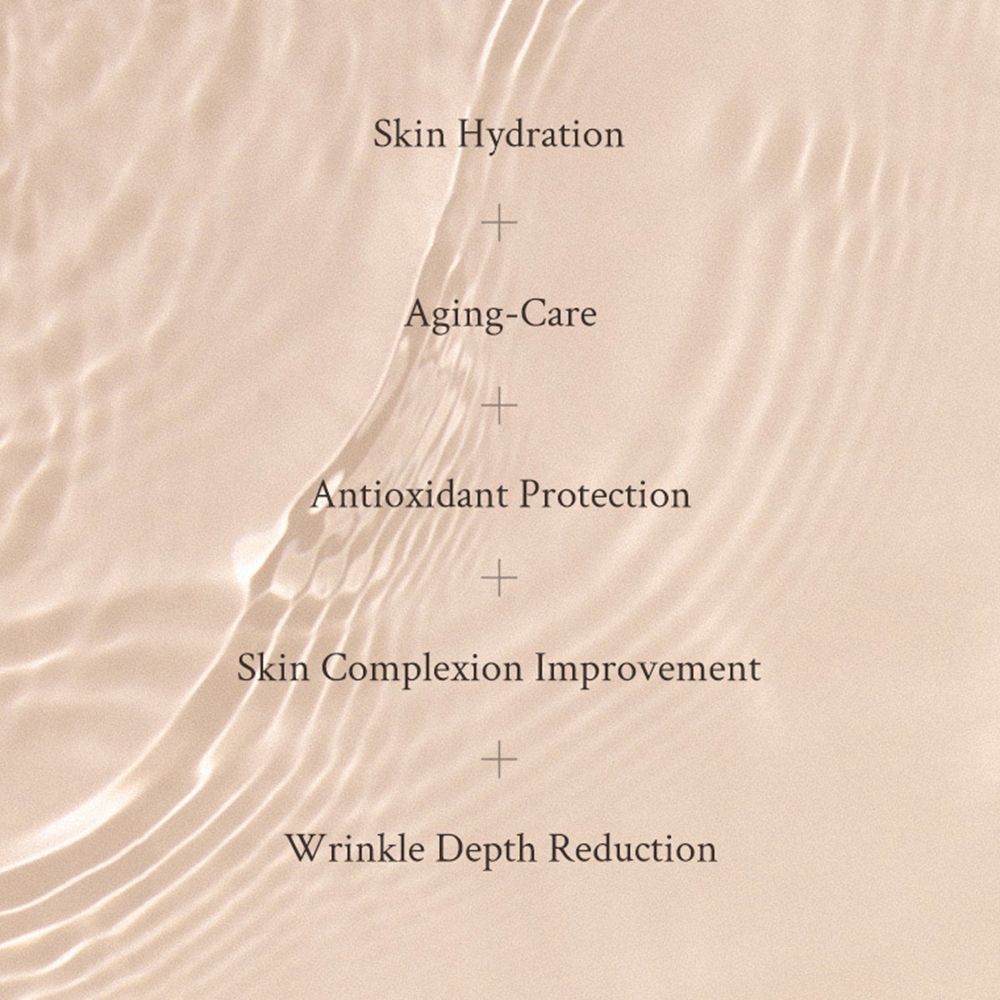 Text auf welligem Hintergrund: Skin Hydration, Aging-Care, Antioxidant Protection, Skin Complexion Improvement, Wrinkle Depth Reduction.