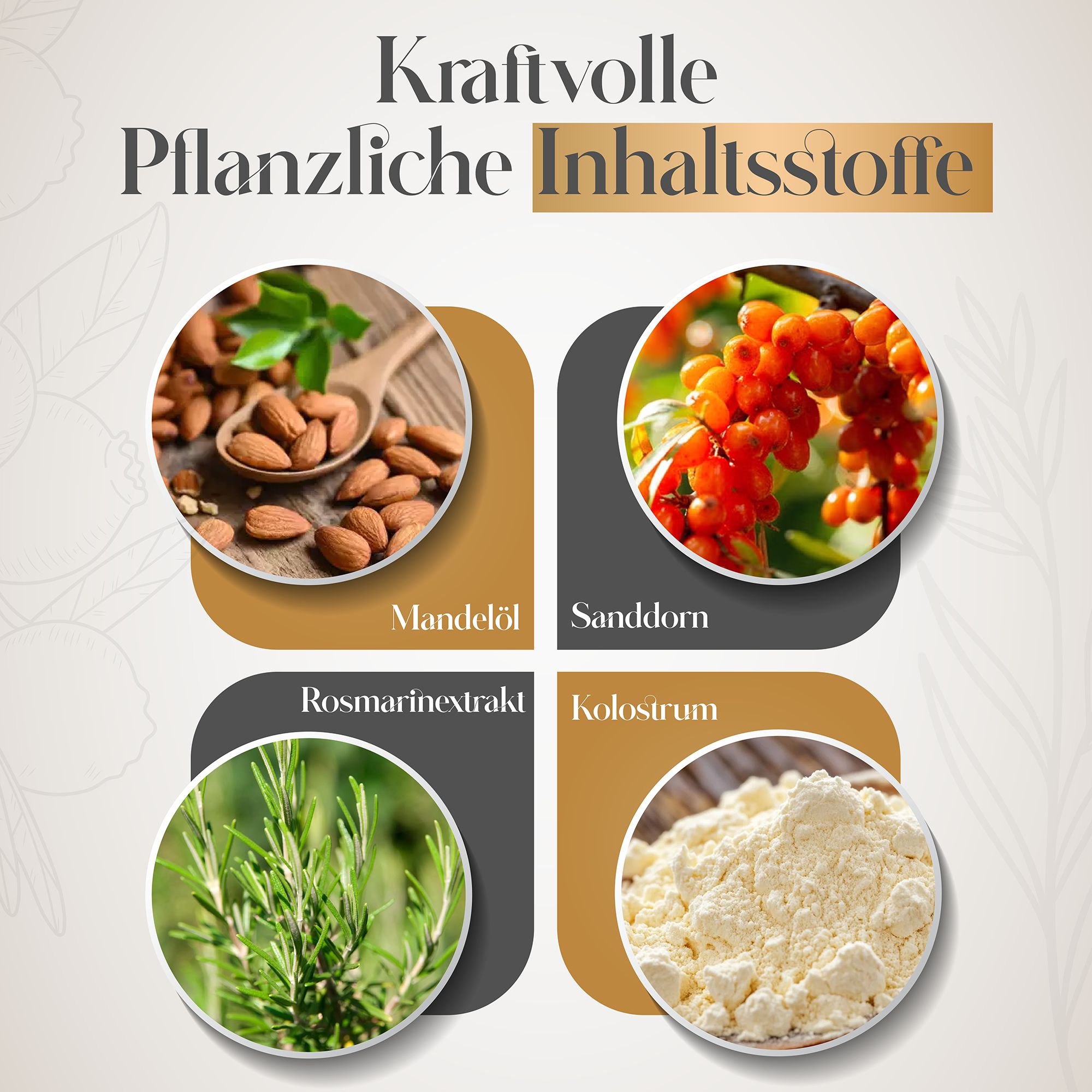 Vier Bilder: Mandelöl, Sanddorn, Rosmarinextrakt, Kolostrum. Text: Kraftvolle pflanzliche Inhaltsstoffe.