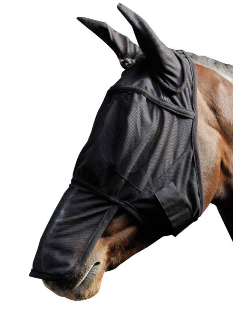Schwarze Fliegenmaske am Pferdekopf. Mesh-Material, Ohrenschutz, Klettverschluss. Nahaufnahme.