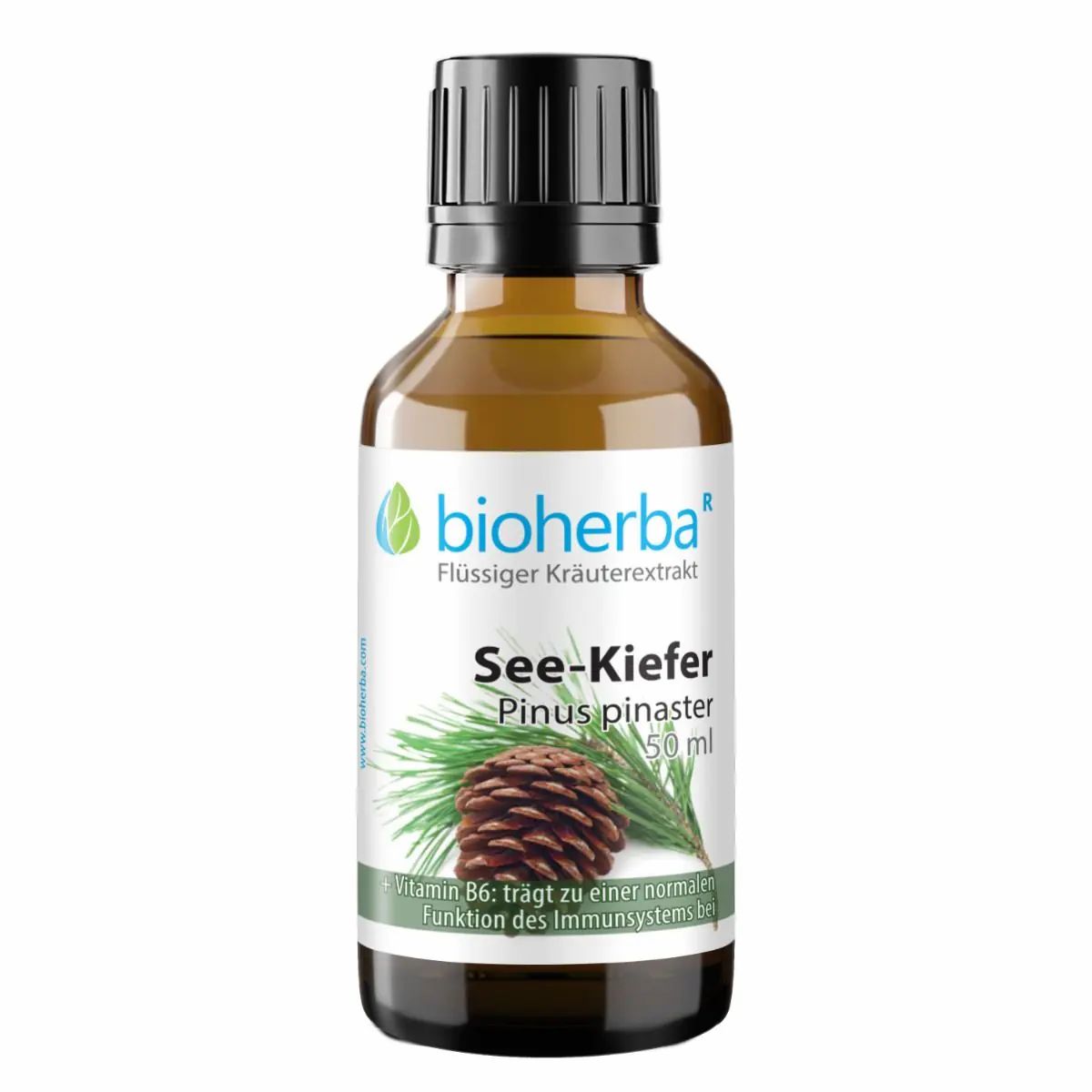 Braune Glasflasche mit schwarzem Deckel. Etikett mit Logo, Produktname, Kiefernzapfen-Illustration und Text.