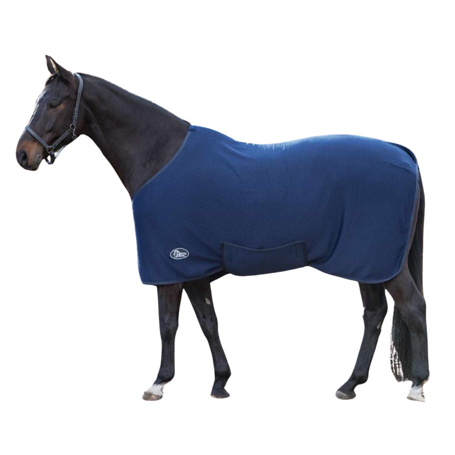 Blaue Pferdeunterdecke auf einem Pferd. Mit Logo. Seitliche Ansicht.