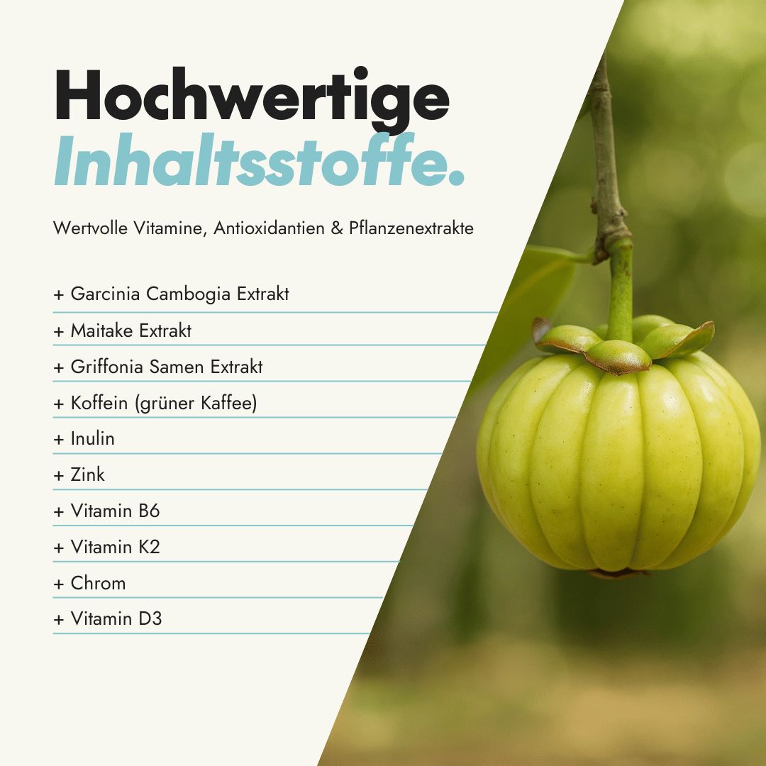 Nahaufnahme einer grünen Frucht. Text: Hochwertige Inhaltsstoffe. Wertvolle Vitamine, Antioxidantien & Pflanzenextrakte. Garcinia Cambogia Extrakt.