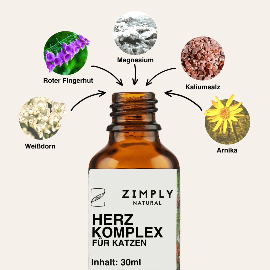 ZIMPLY NATURAL Herz & Hypertrophie Komplex Spray für Katzen