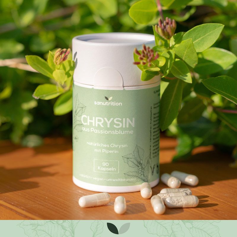 Zylindrische Dose "Sanutrition Chrysin aus Passionsblume" mit Kapseln. Grün-weiße Verpackung. Kapseln liegen auf Holzoberfläche.