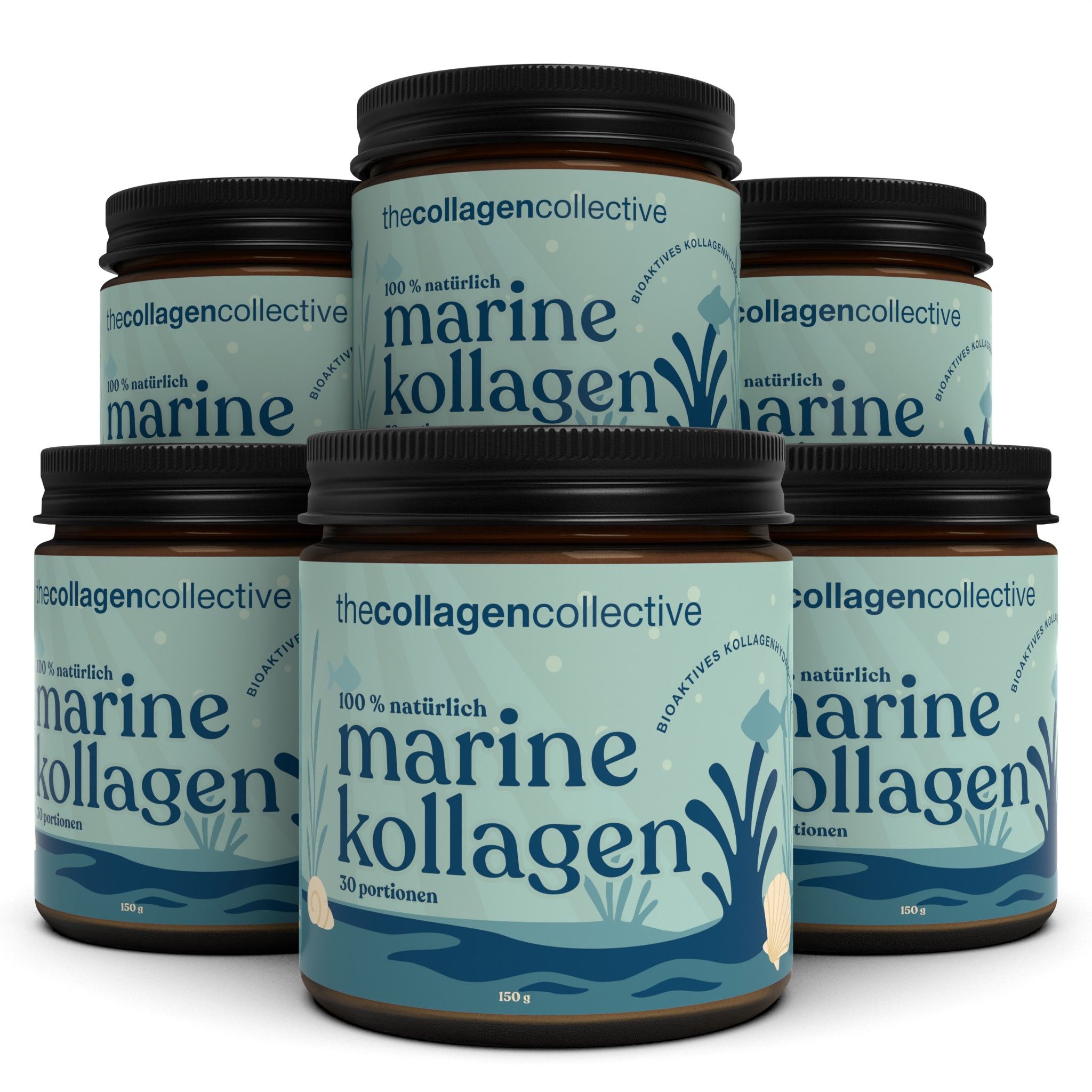 Sechs Gläser Marine Kollagen Pulver. Braune Deckel, hellblaue Etiketten mit Produktinformationen und Logo.