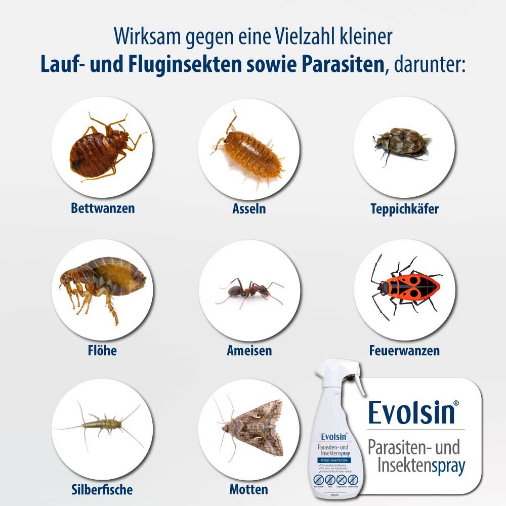 Grafik mit verschiedenen Insektenarten. Evolsin® Parasiten- und Insektenspray-Flasche. Text: Wirksam gegen eine Vielzahl kleiner Insekten.