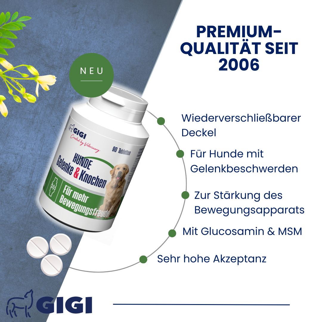 GIGI VET Hunde Gelenke & Knochen in weißer Flasche. Text: Für Hunde mit Gelenkbeschwerden, zur Stärkung des Bewegungsapparats. Tabletten.