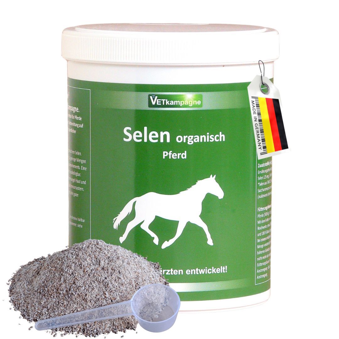 Behälter Selen organisch für Pferde. Grünes Etikett, weißes Pulver, Messlöffel. Made in Germany.