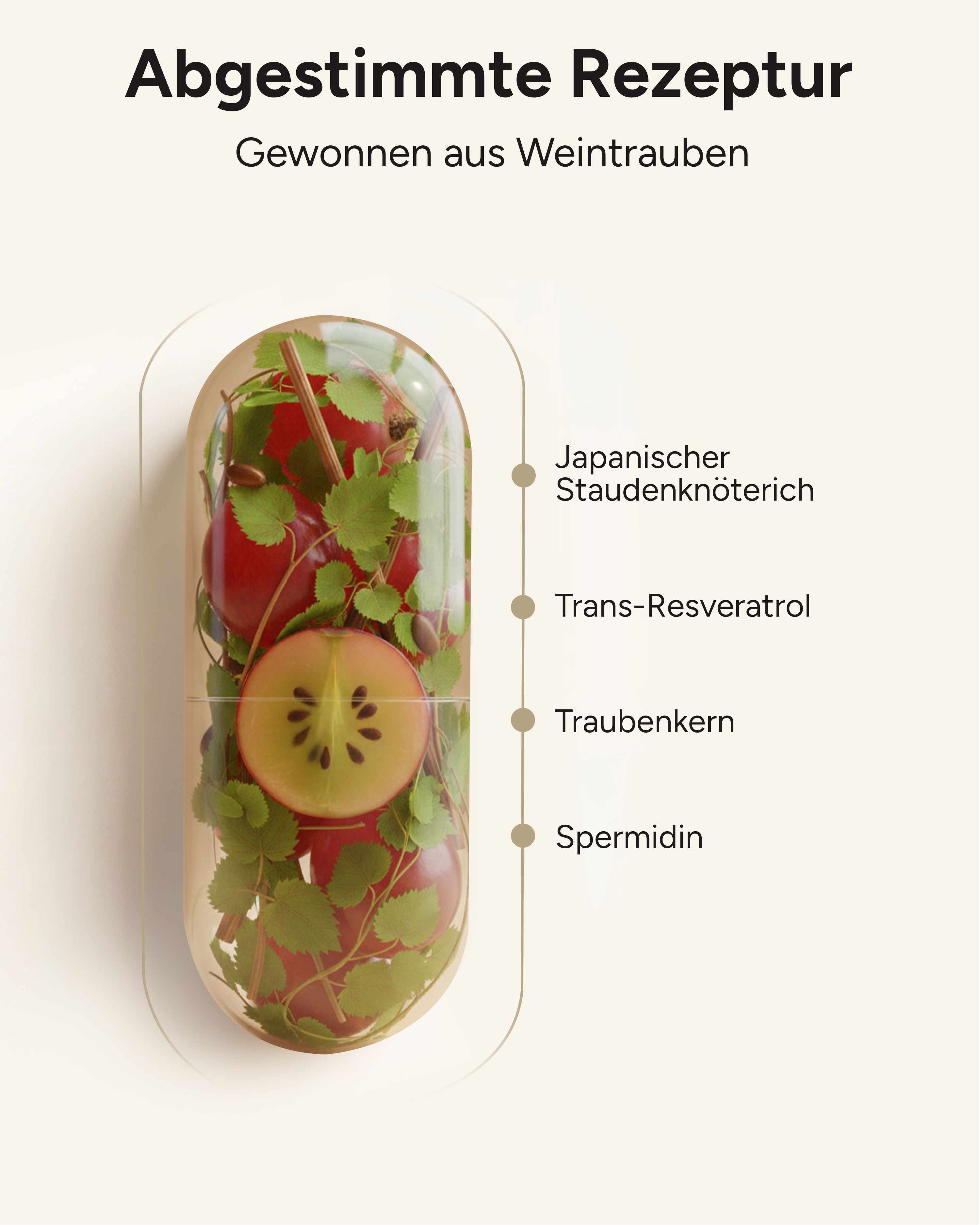 Kapsel mit Inhaltsstoffen: Japanischer Staudenknöterich, Trans-Resveratrol, Traubenkern, Spermidin.