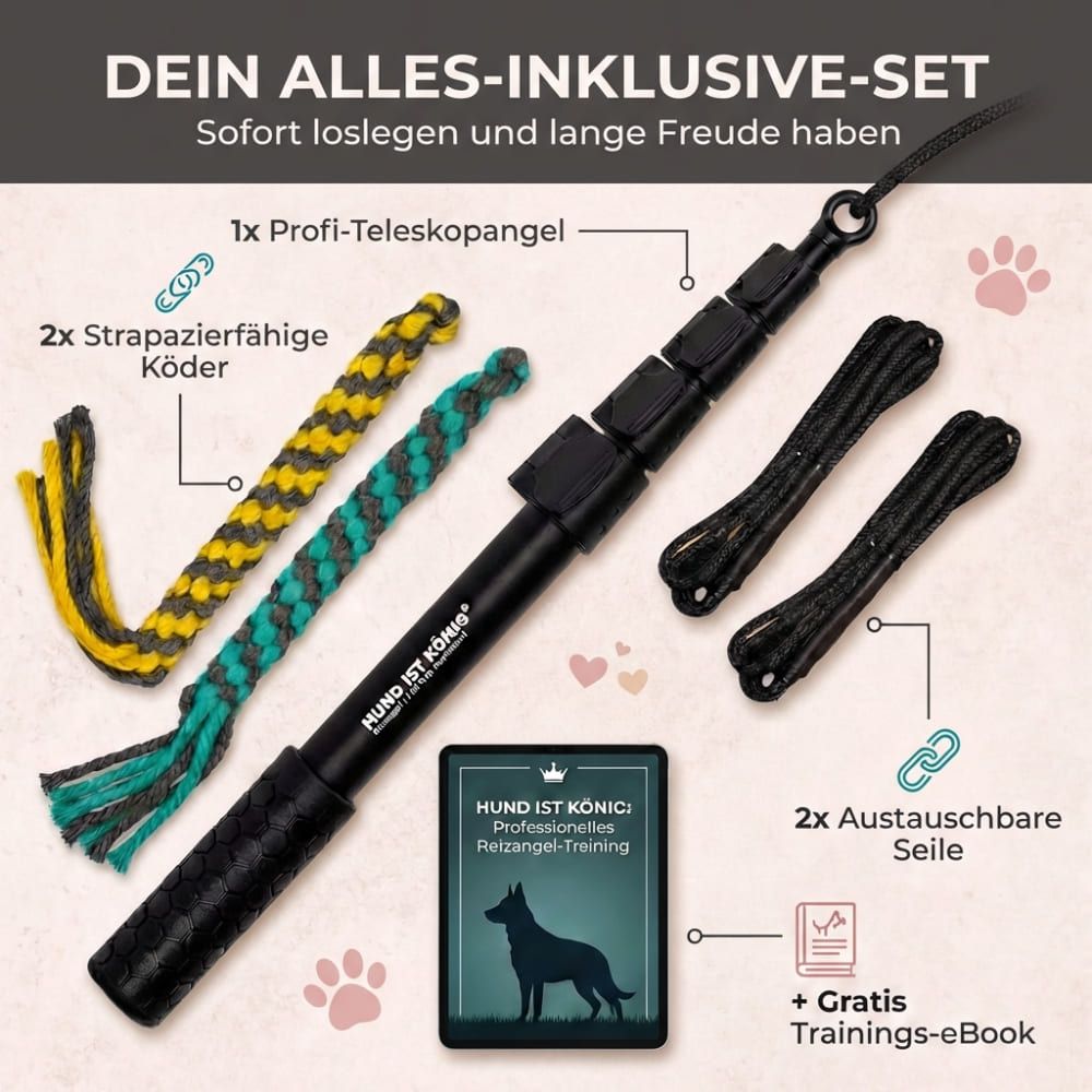 Set mit Reizangel, Ködern, Seilen und Trainings-eBook. Text: Dein Alles-Inklusive-Set. Logo: HUND IST KÖNIG. Professionelles Reizangel-Training.