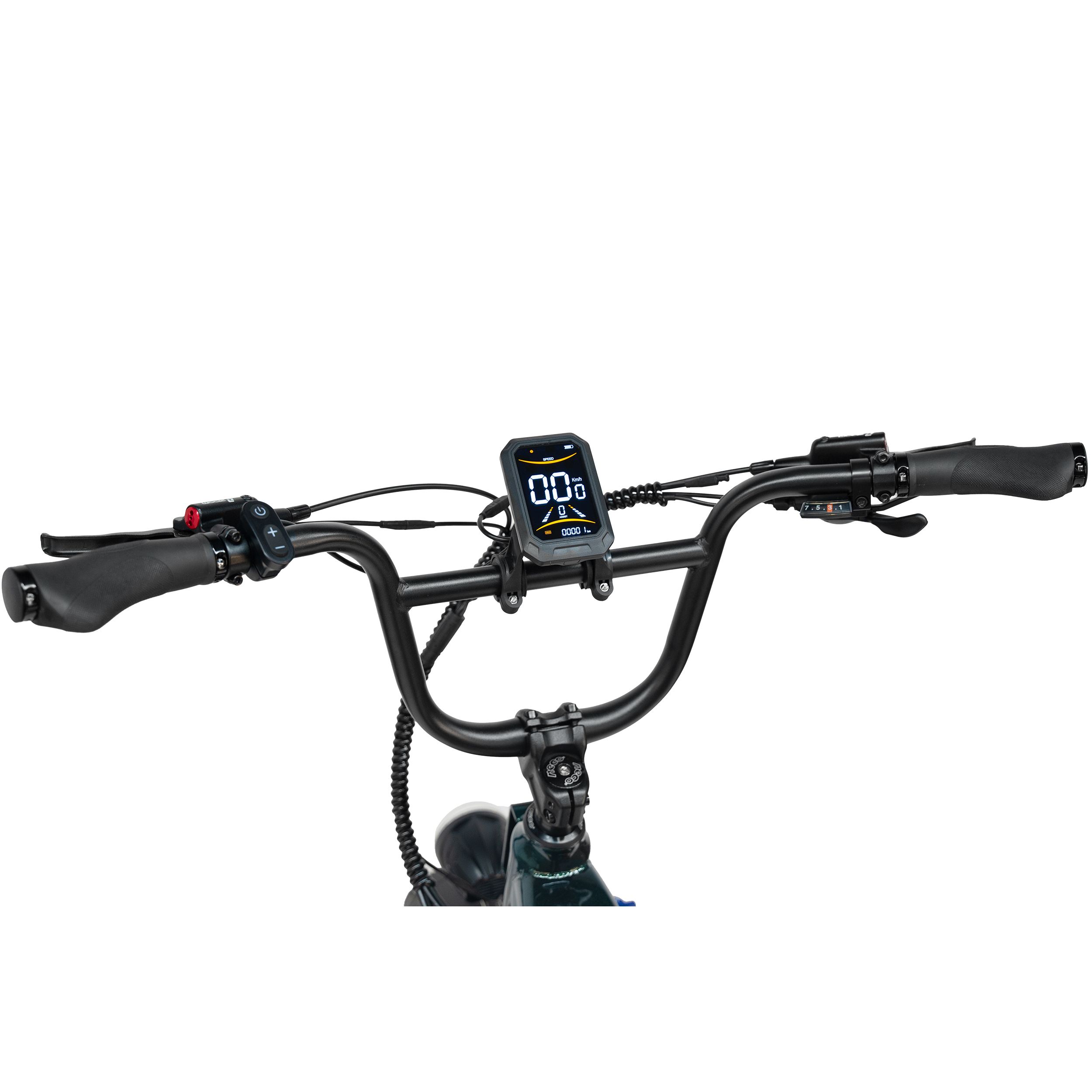 Maxtron Camel E-Bike für Erwachsene, 48 V 18 Ah