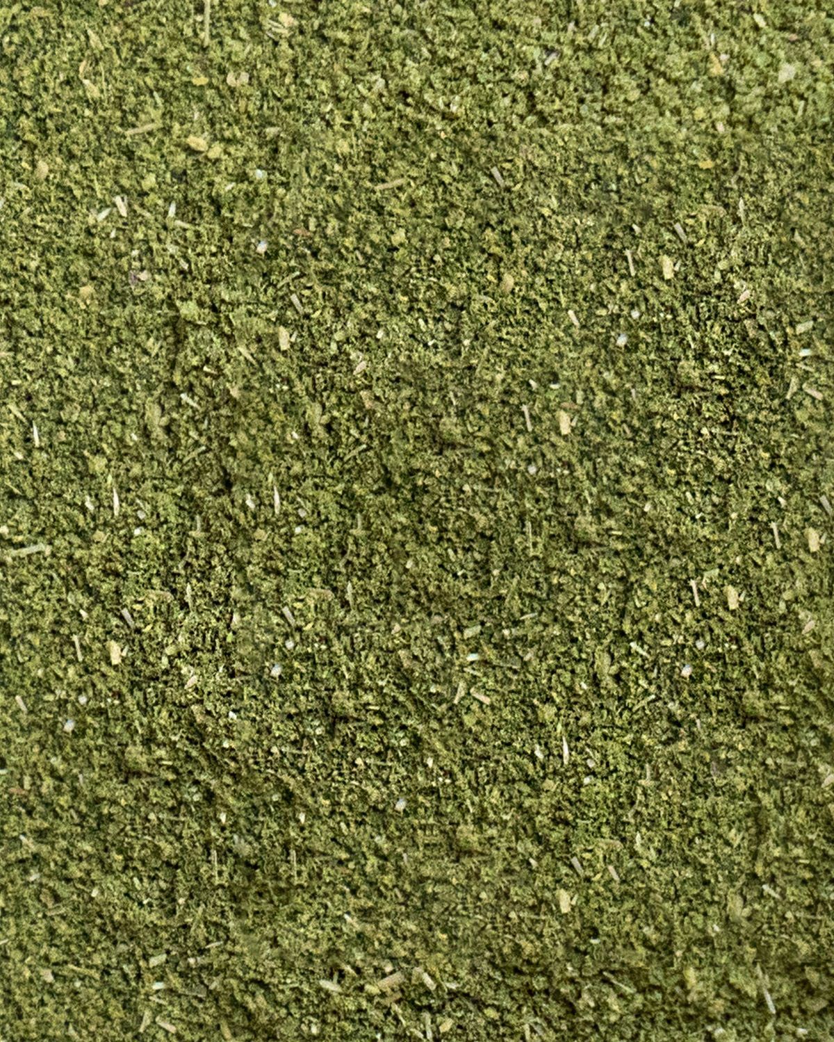 Nahaufnahme von grünem Moringa-Pulver. Feine Textur.