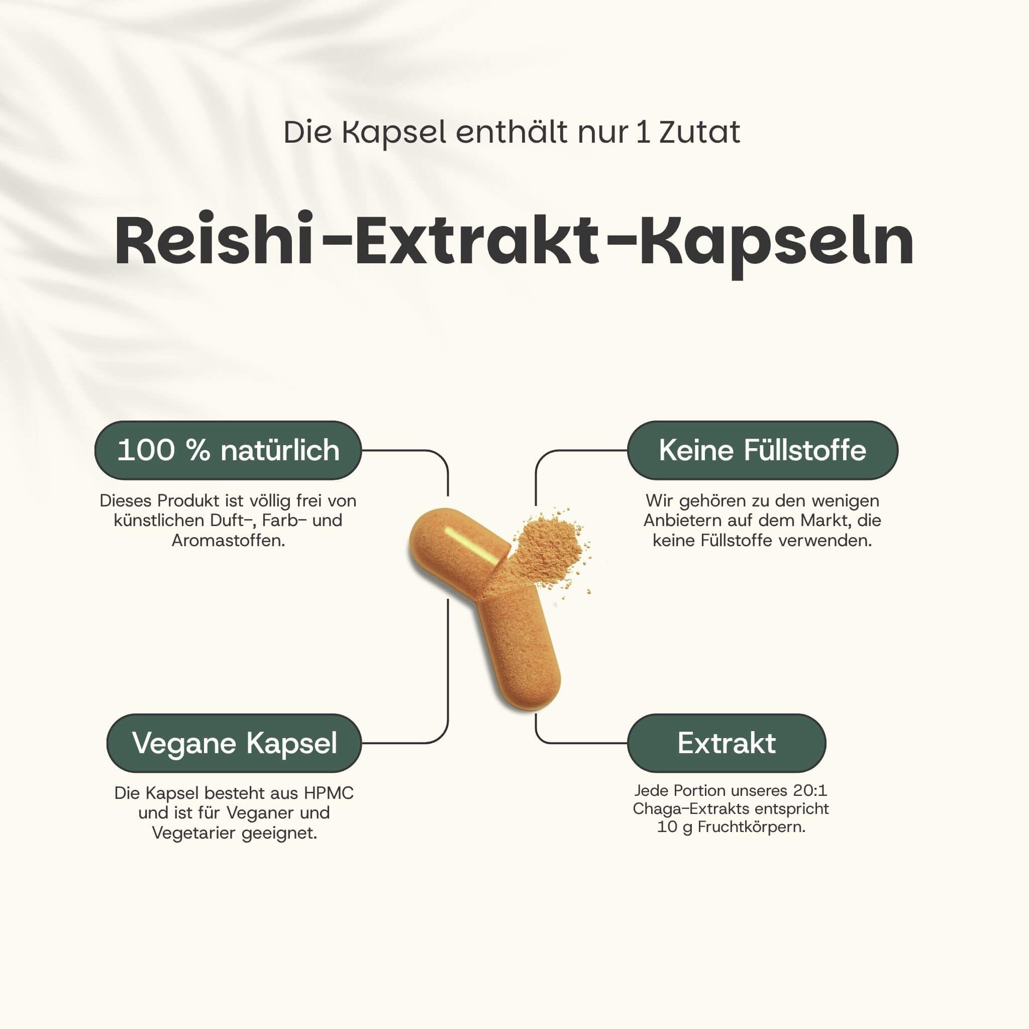 Reishi-Extrakt-Kapseln. 100% natürlich. Vegane Kapsel. Ohne Füllstoffe. Extrakt.