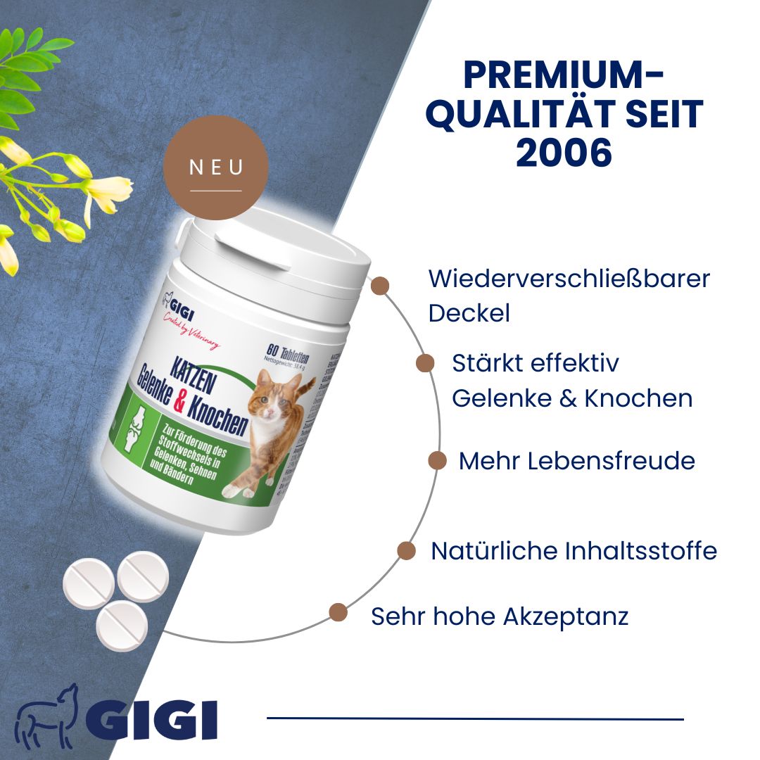 Produktverpackung mit Tabletten, Text: "GIGI VET Katzen Gelenke & Knochen". Text: "Premium-Qualität seit 2006".