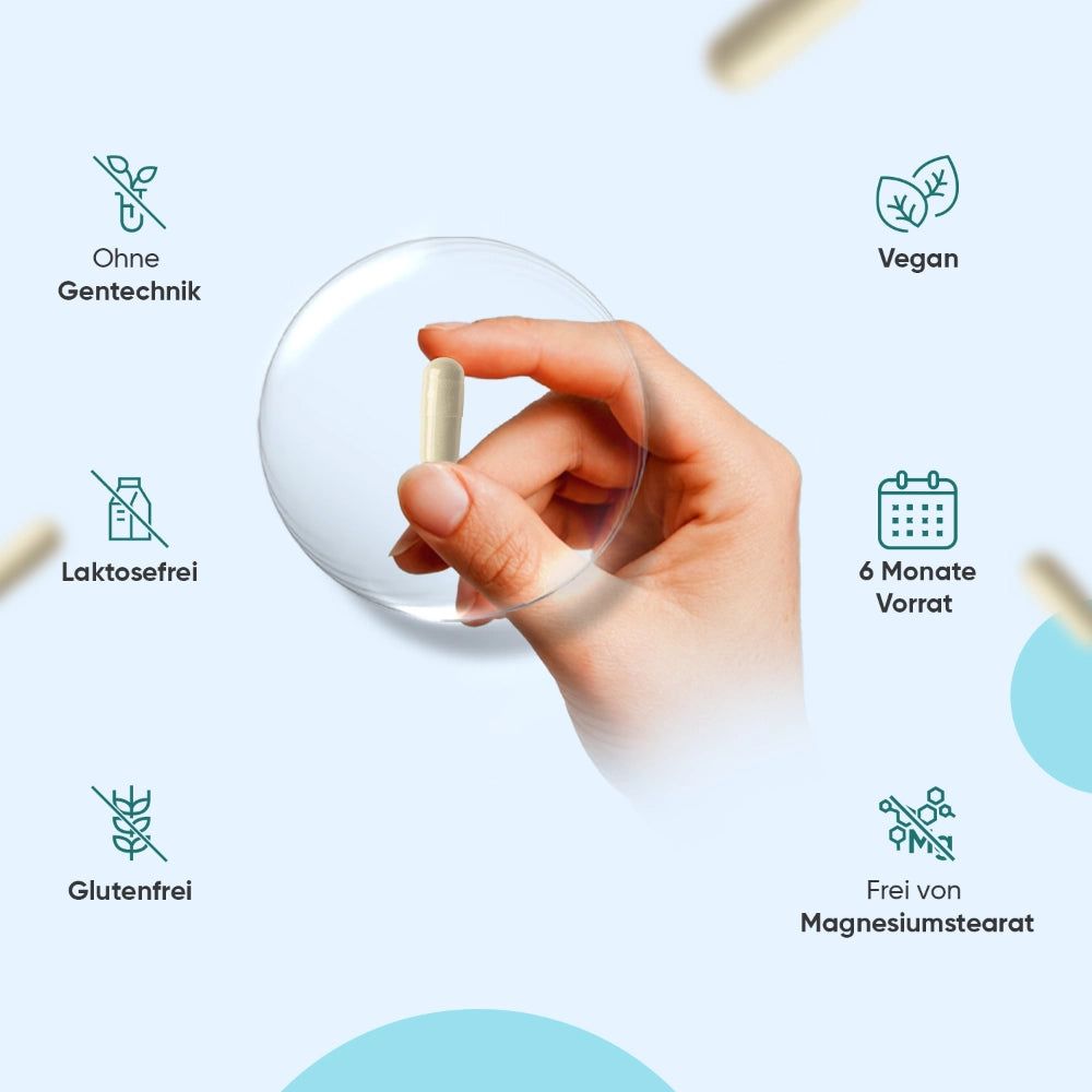 Hand hält Kapsel. Symbole: Ohne Gentechnik, Vegan, Laktosefrei, Glutenfrei, 6 Monate Vorrat, Frei von Magnesiumstearat.