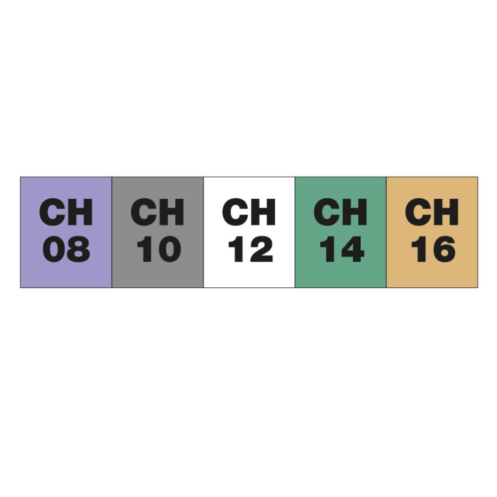 Farbcodierte Blöcke mit CH-Größen: 08, 10, 12, 14, 16. CH12 in weißem Block.