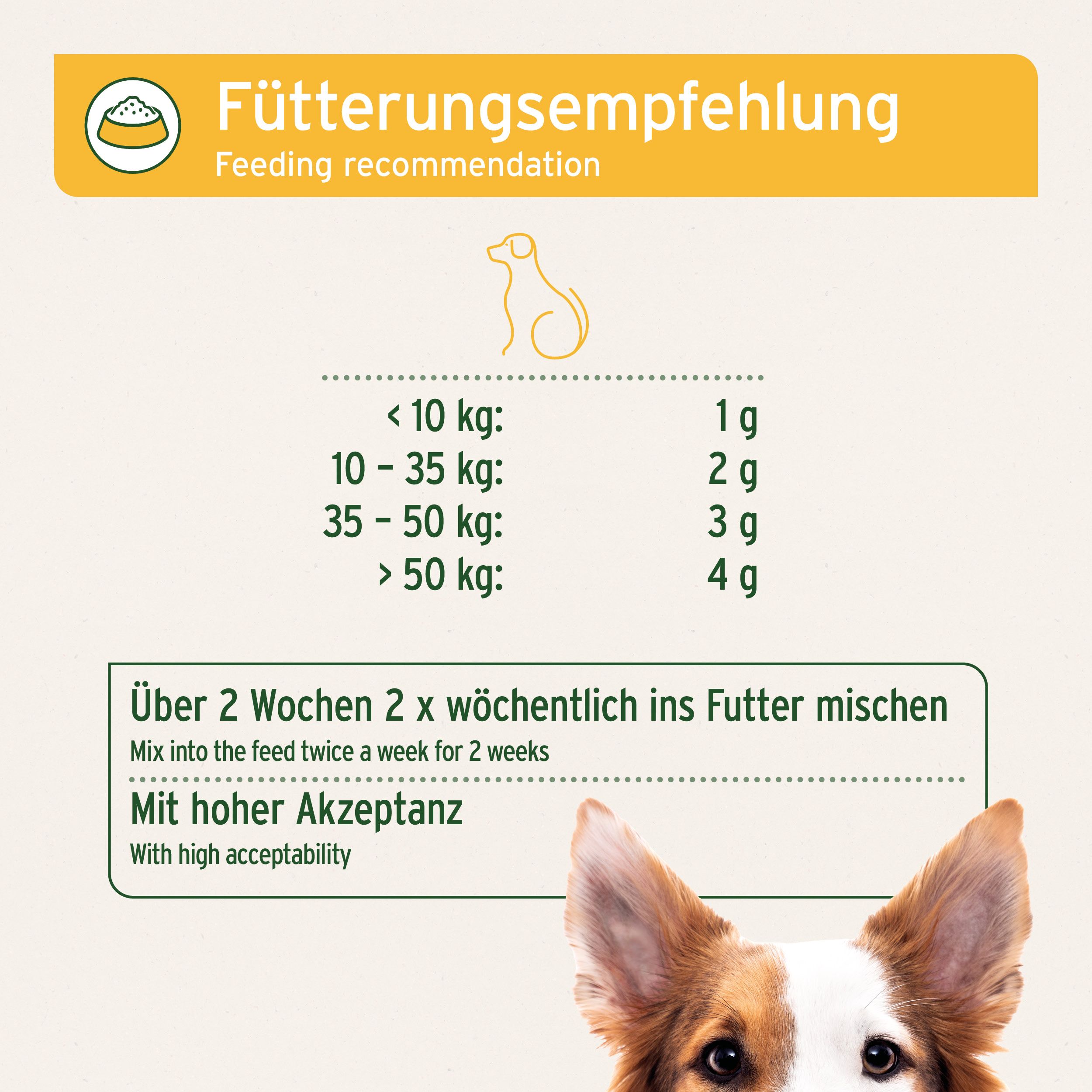 AniForte WermiX für Hunde