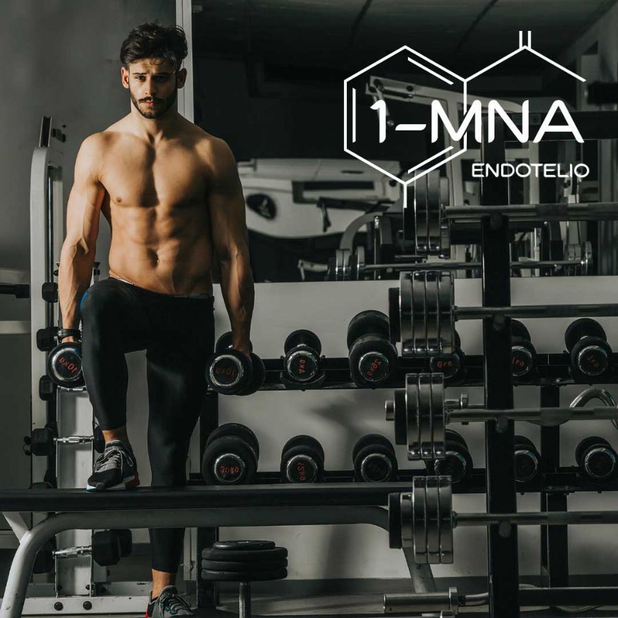 Mann im Fitnessstudio. Logo: 1-MNA Endotelio. Mann hält Hanteln. Fitness-Kontext.