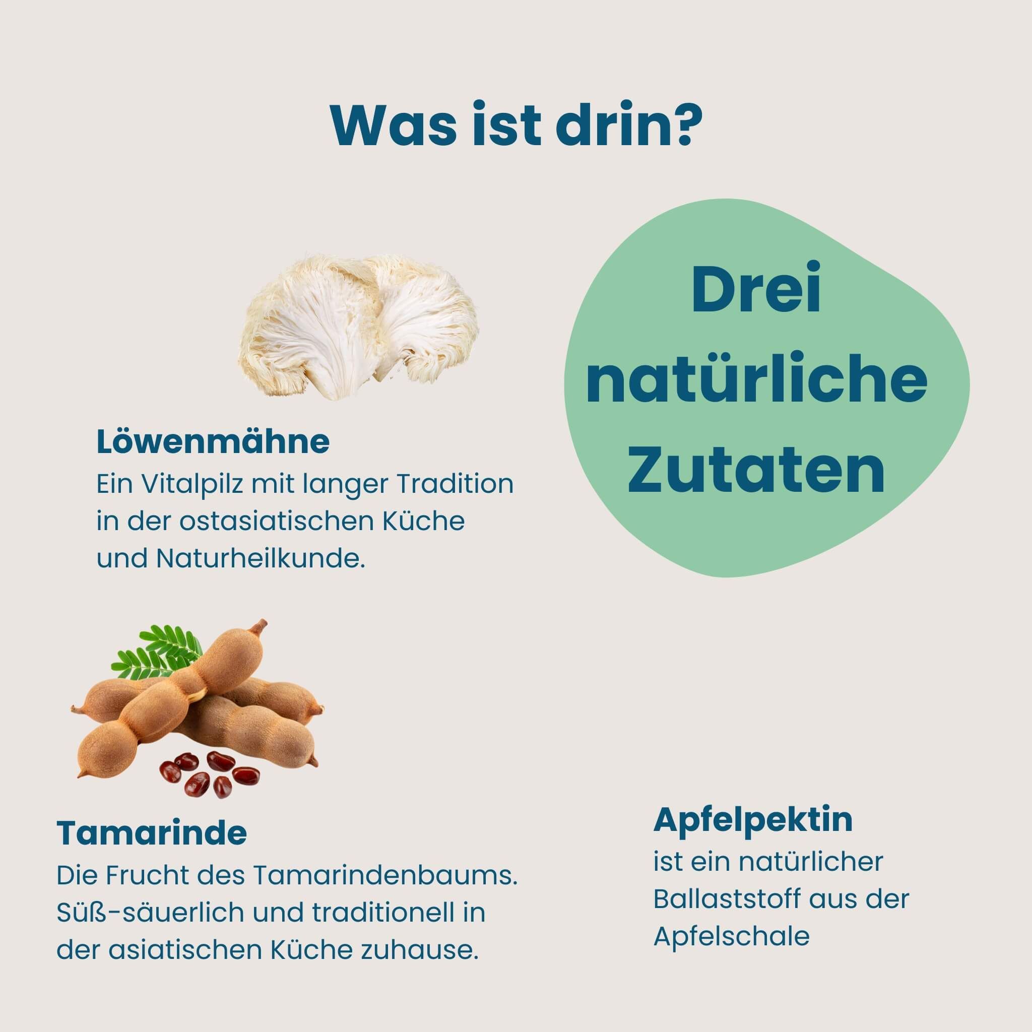 Drei natürliche Zutaten: Löwenmähne, Tamarinde, Apfelpektin.