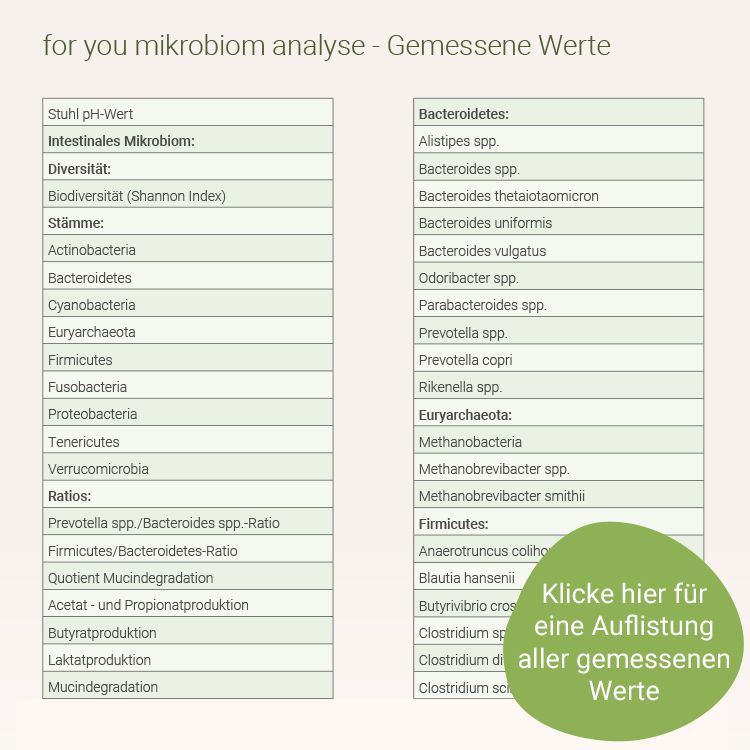 Detaillierte Liste der gemessenen Werte für die Mikrobiomanalyse, inklusive Bakterien, Pilze und Verhältnisse.