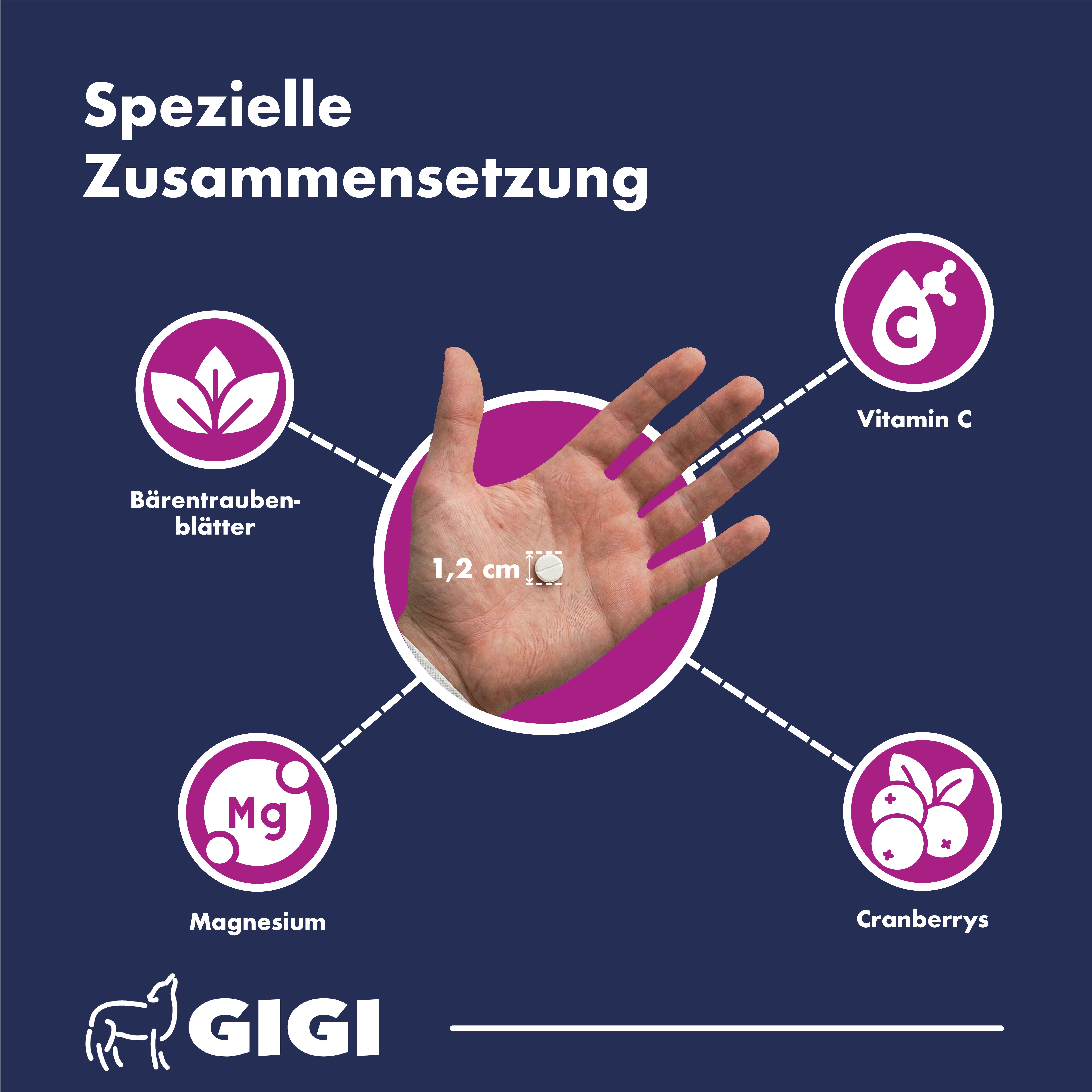 Hand mit Tablette. Illustrationen: Cranberries, Magnesium, Vitamin C, Blätter. Text: 1,2 cm.