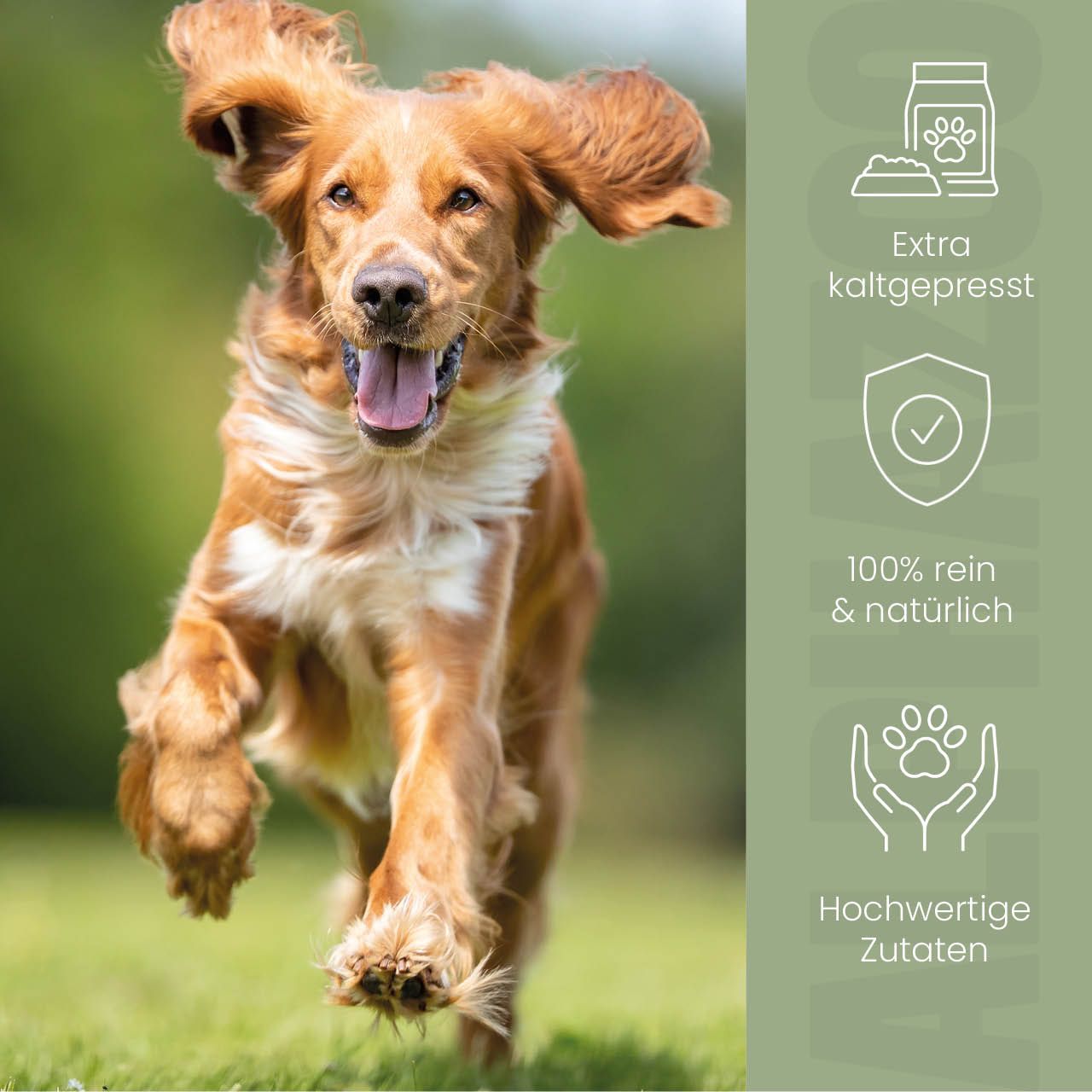 Hund rennt. Text: Extra kaltgepresst. 100% rein & natürlich. Hochwertige Zutaten. Pfoten-Illustrationen.