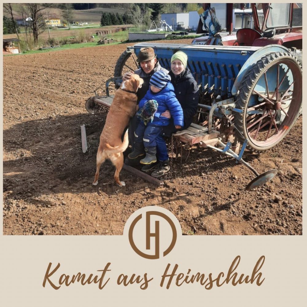 Drei Personen und ein Hund auf einem Traktor. Im Vordergrund Schriftzug: Kamut aus Heimsruh. Logo.