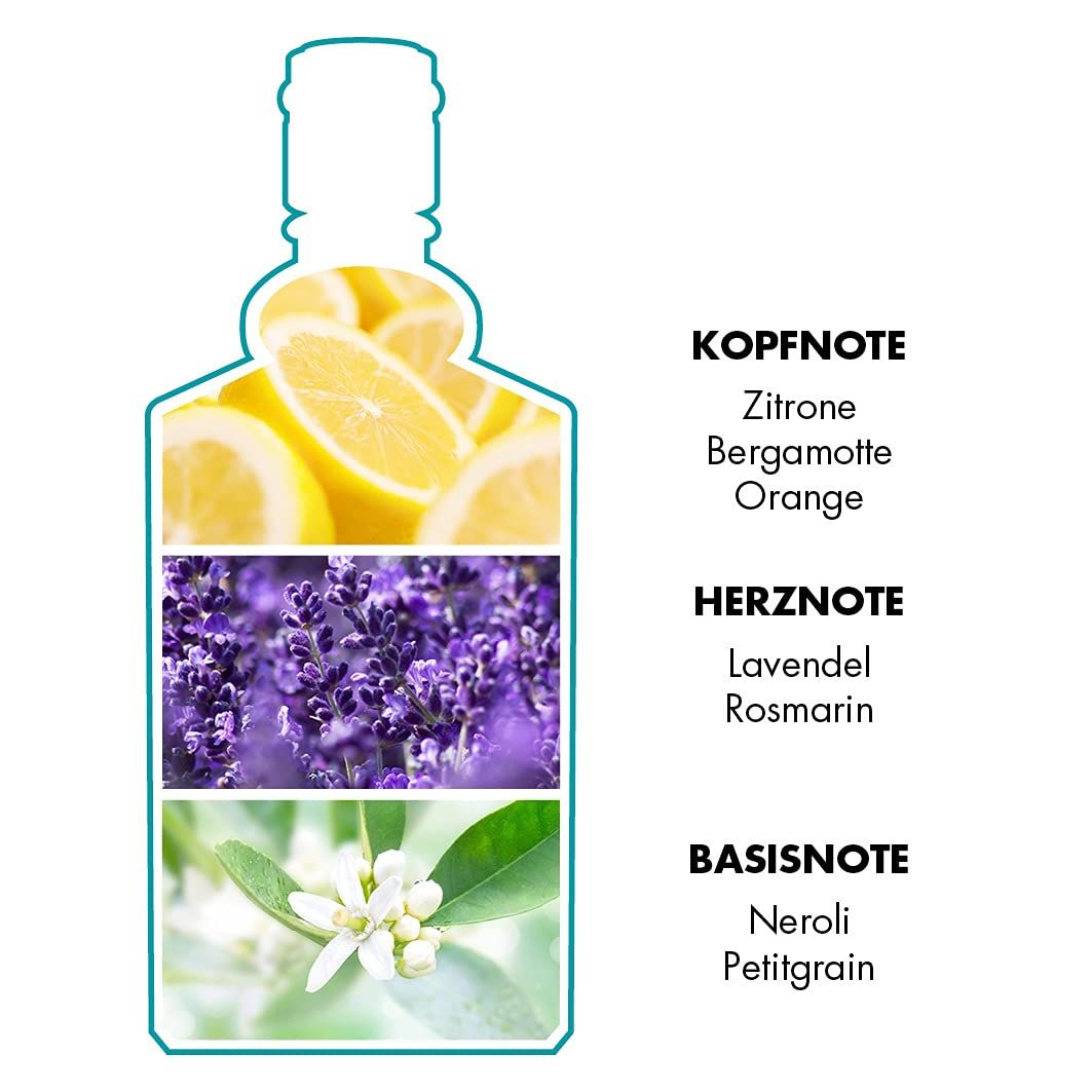 Grafik mit Inhaltsstoffen. Zitrone, Lavendel, Neroli. Beschriftung: Kopfnote, Herznote, Basisnote.
