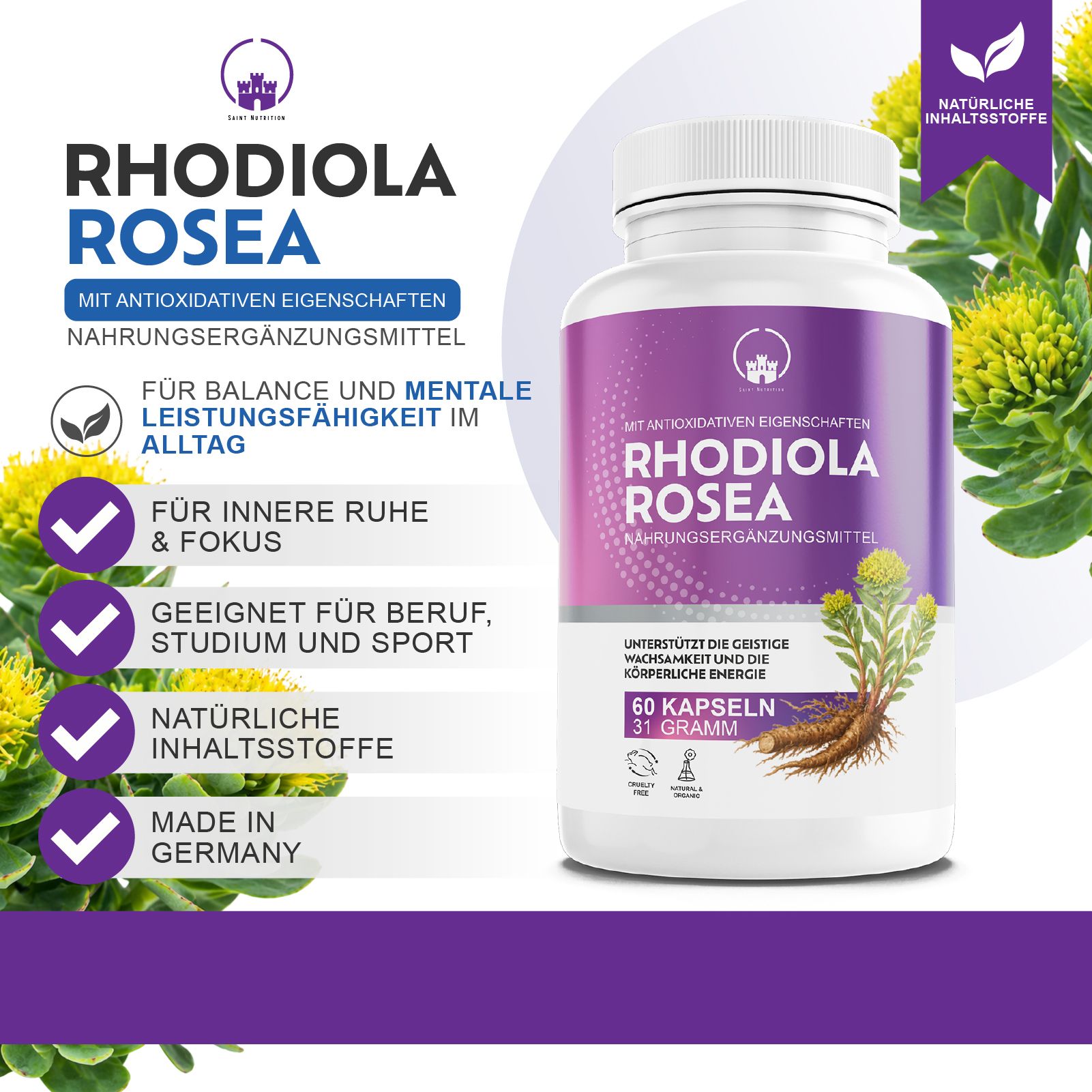 Produktflasche mit lila Etikett. Text: Rhodiola Rosea, Nahrungsergänzungsmittel. 60 Kapseln, 31 Gramm. Mit Pflanzenabbildung.