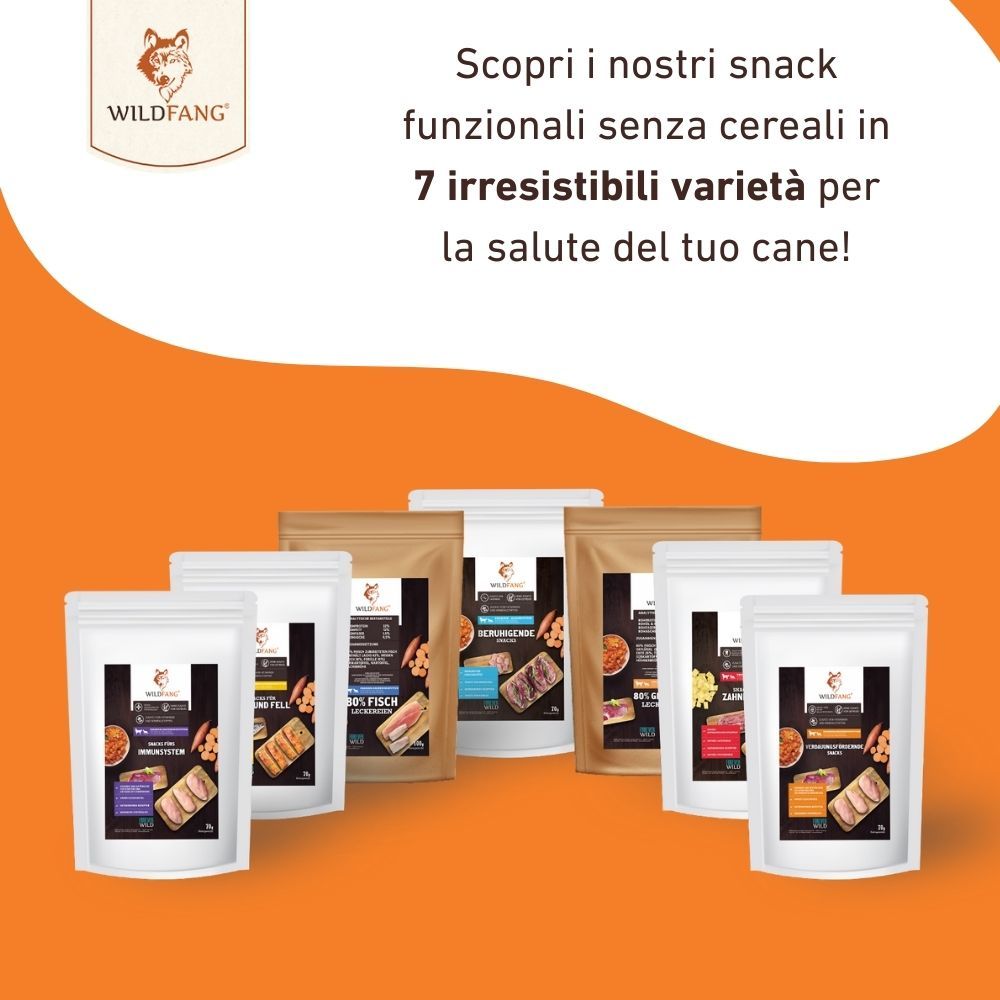 Sieben Beutel Hundesnacks in verschiedenen Geschmacksrichtungen. Wildfang Logo und Text auf orangefarbenem Hintergrund.