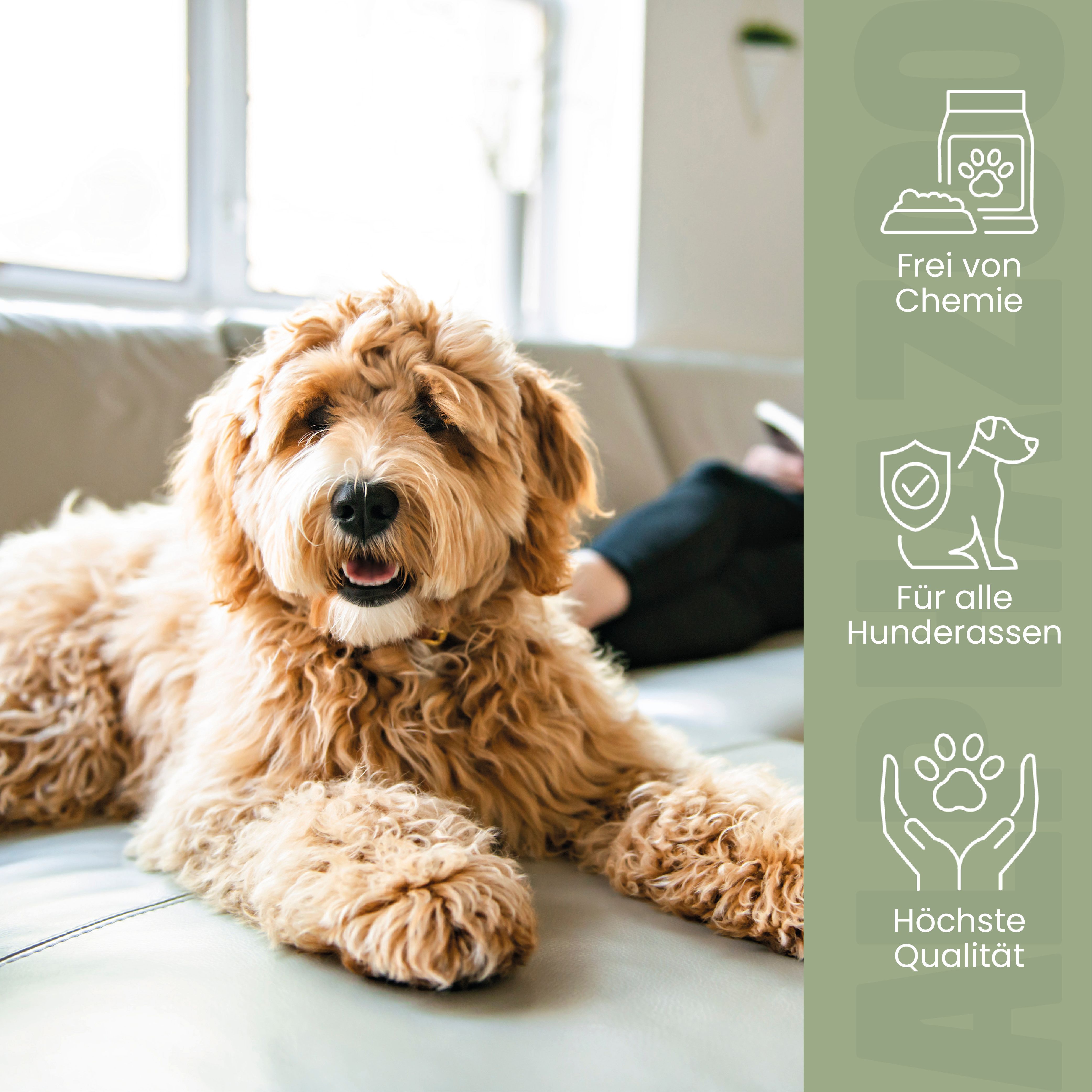 Hund liegt auf Sofa. Text: Frei von Chemie. Für alle Hunderassen. Höchste Qualität.