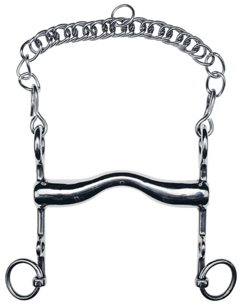 Gebiss aus Metall mit Kette. Gebogene Form.