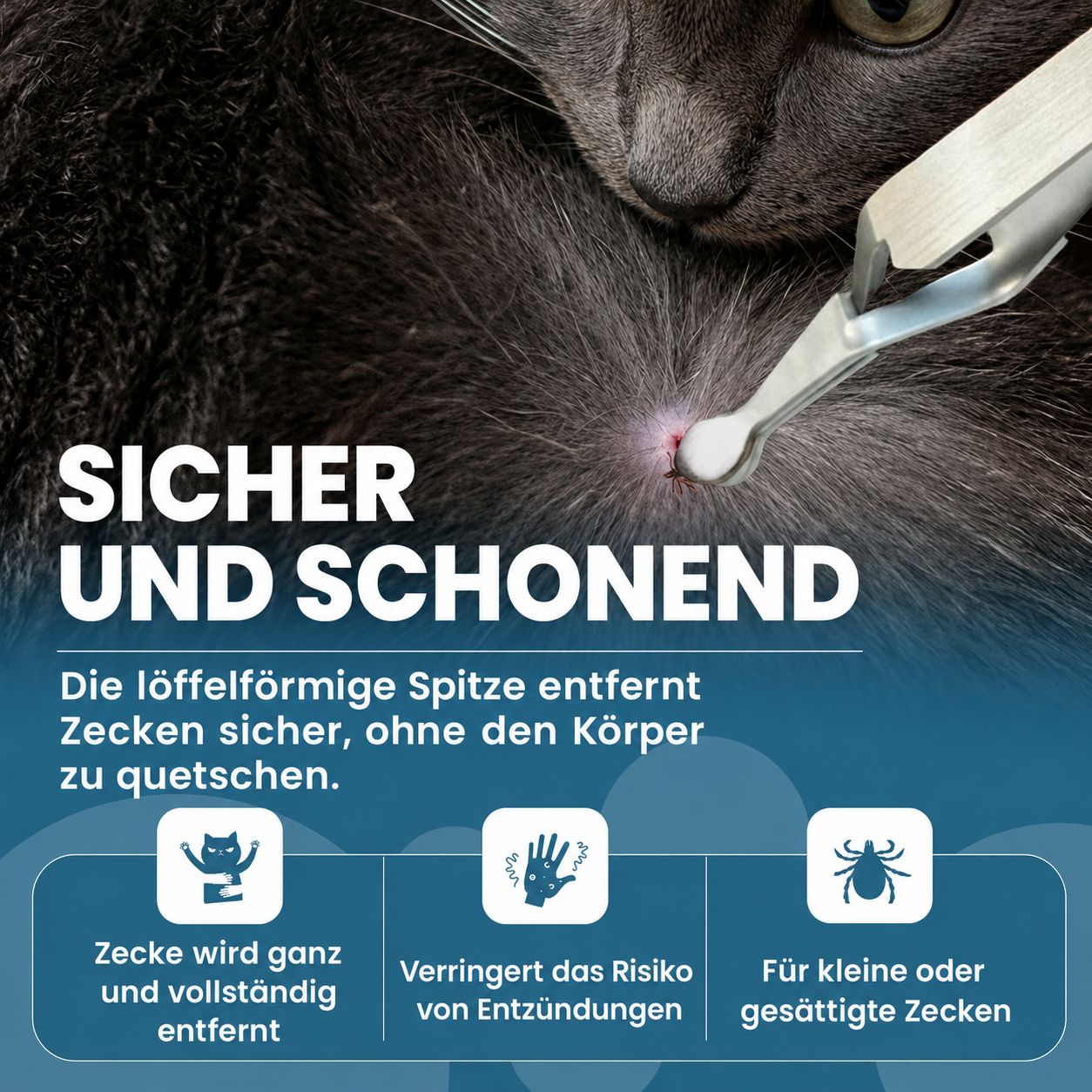 Zeckenpinzette entfernt schonend eine Zecke von der Haut einer Katze. Verhindert Quetschung und Entzündung.