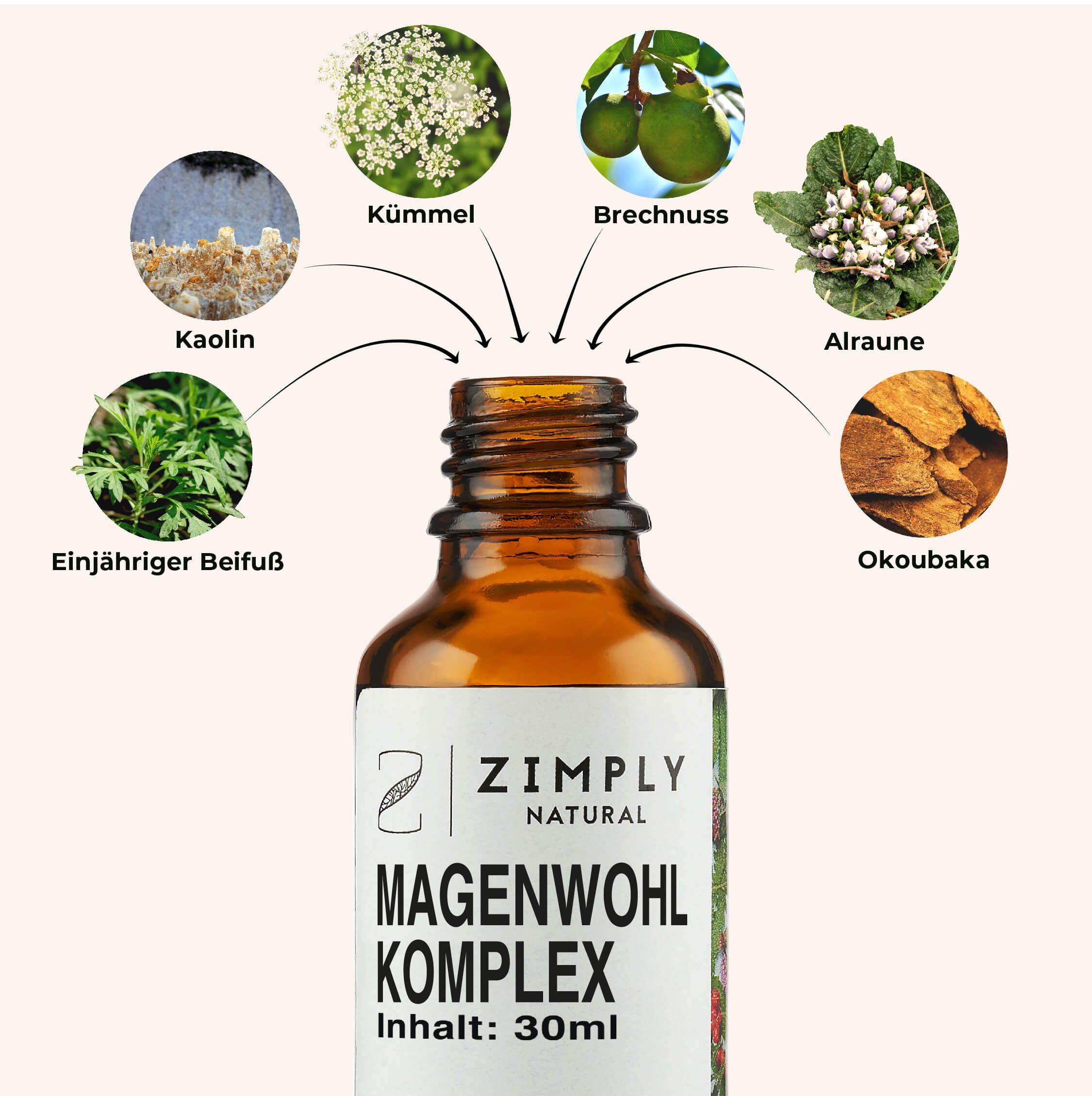ZIMPLY NATURAL Magen Komplex Spray