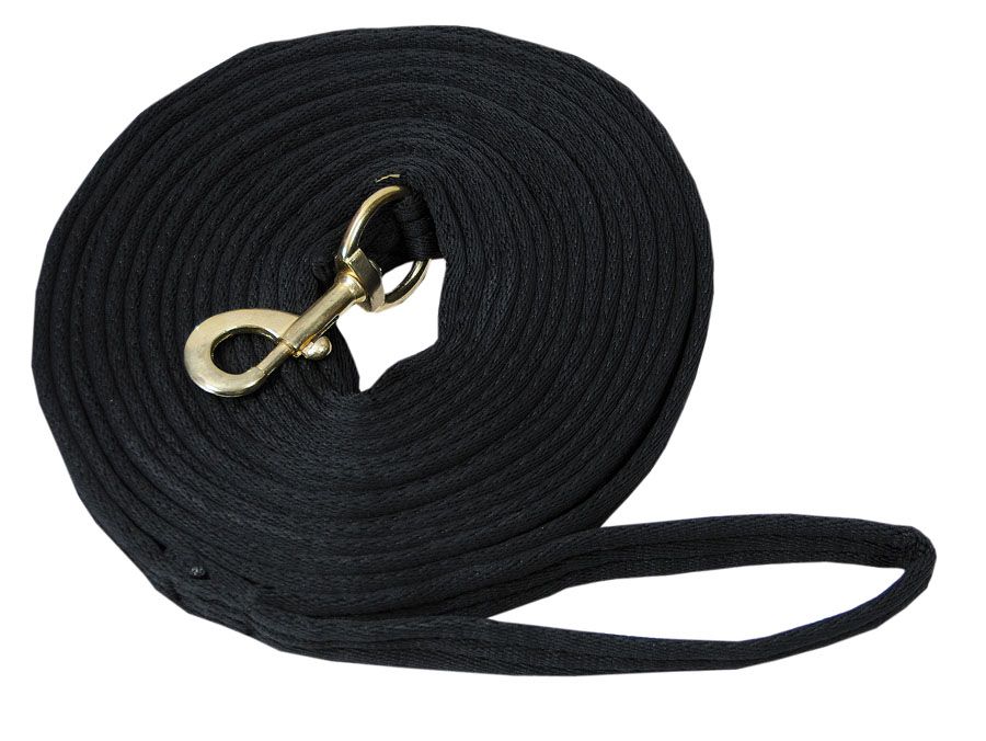 Schwarze Longierleine, aufgerollt. Mit Karabinerhaken und Handschlaufe.