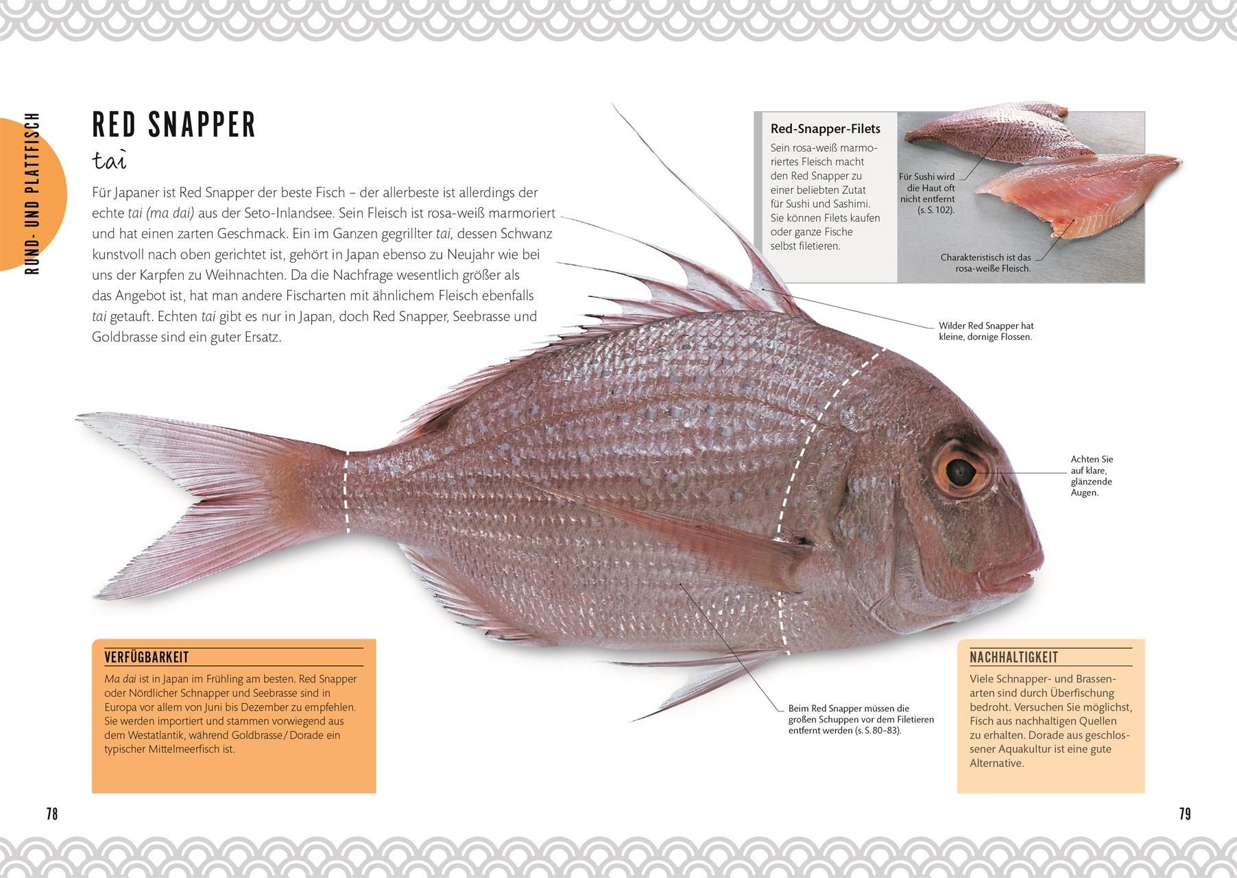 Seite aus einem Kochbuch mit einem Bild von Red Snapper. Text in deutscher Sprache.