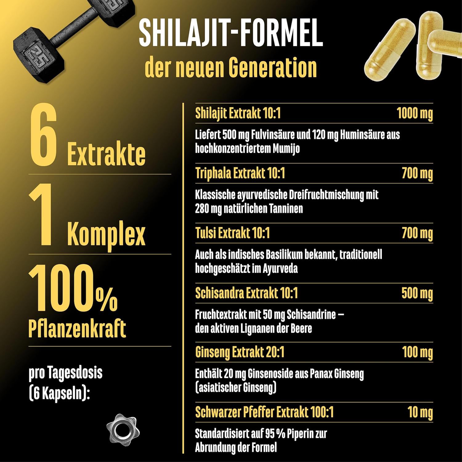 Infografik: Shilajit-Formel der neuen Generation. 6 Extrakte, 1 Komplex, 100% Pflanzenkraft. Inhaltsstoffe: Shilajit, Triphala, Tulsi, Schisandra, Ginseng, Pfeffer.