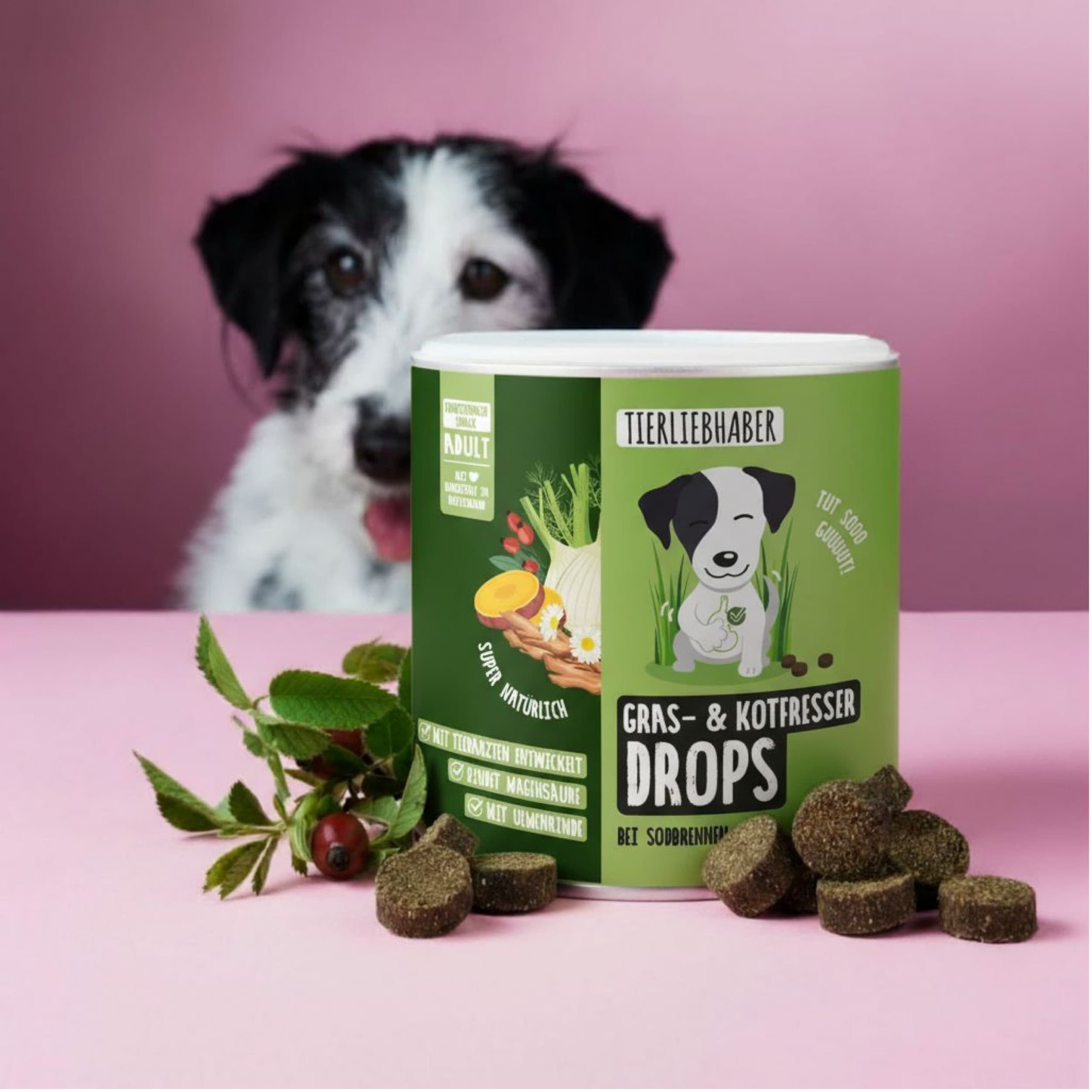 Grüne Dose mit Produktaufschrift. Hund im Hintergrund. Drops und Pflanzen vor der Dose.