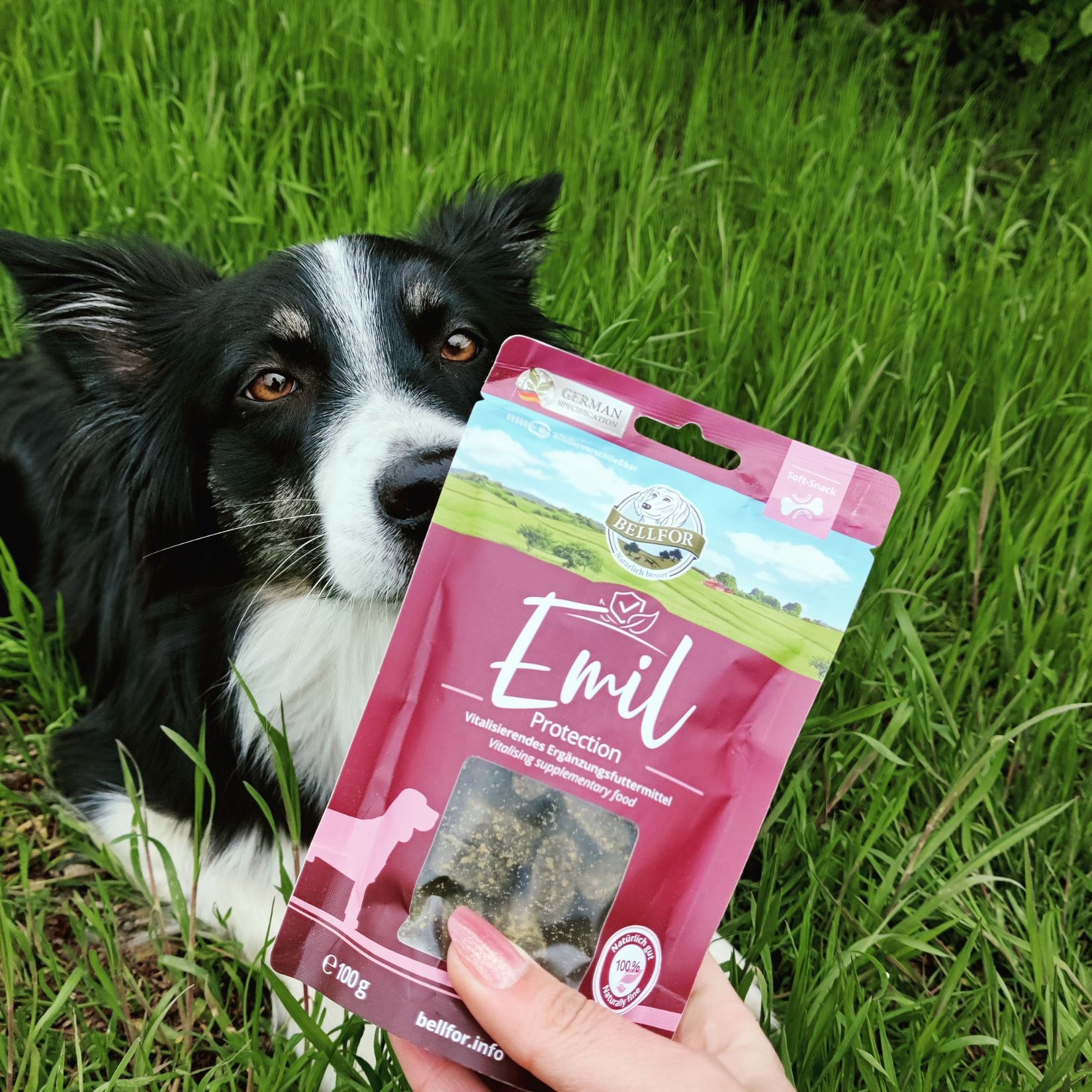 Emil Protection – Köstliche Hundesnacks mit Lachs für starke Abwehrkräfte Bellfor