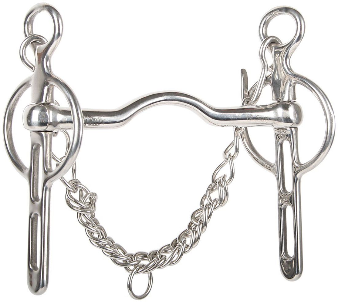 Metall-Stange mit Kettengliedern. Mundstück mit gebogener Form. Ringe an den Seiten. Kette unter dem Mundstück.
