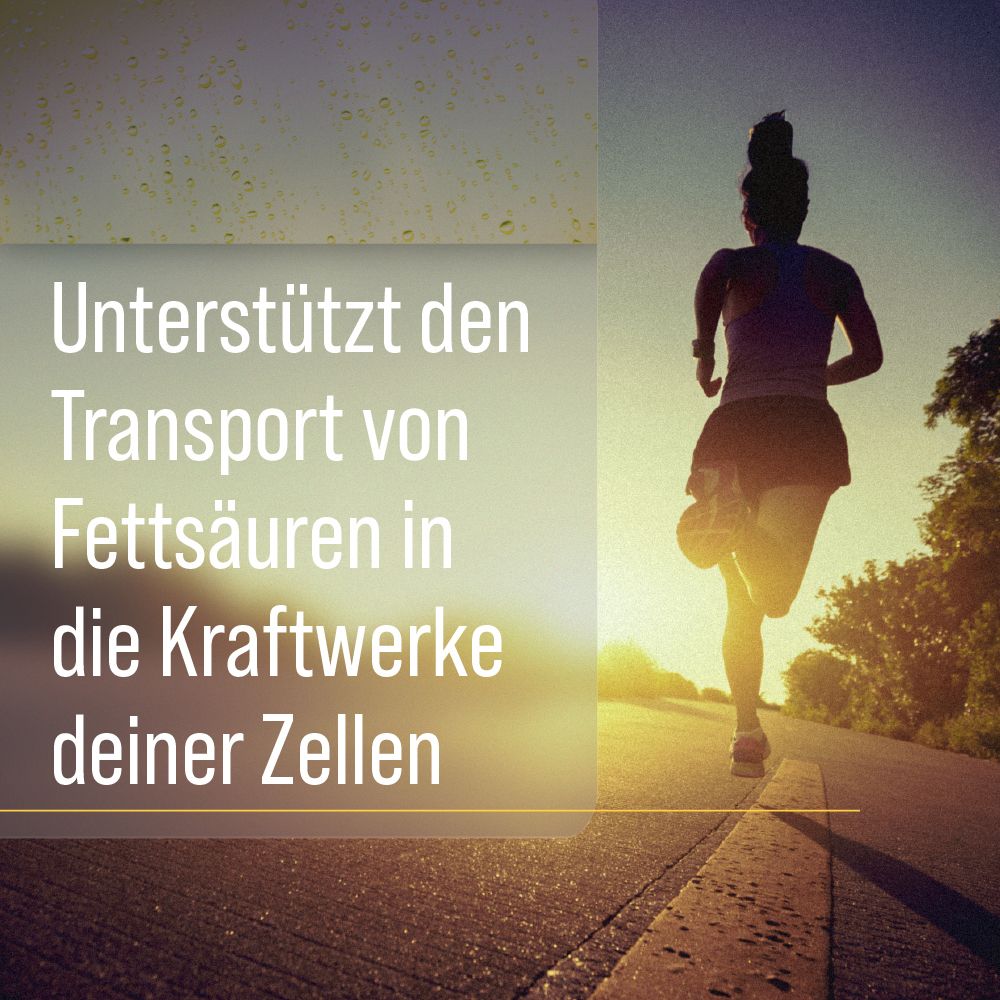 Läuferin auf einer Straße. Text: Unterstützt den Transport von Fettsäuren in die Kraftwerke deiner Zellen.