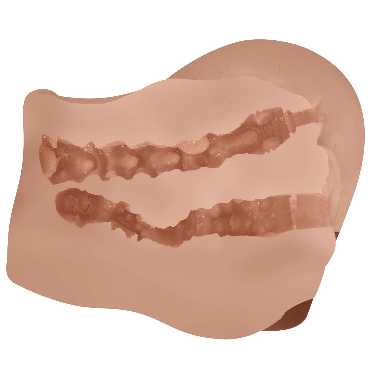 Masturbator aus hautfarbenem Material. Innenansicht mit zwei Kammern. Geriffelte Textur.