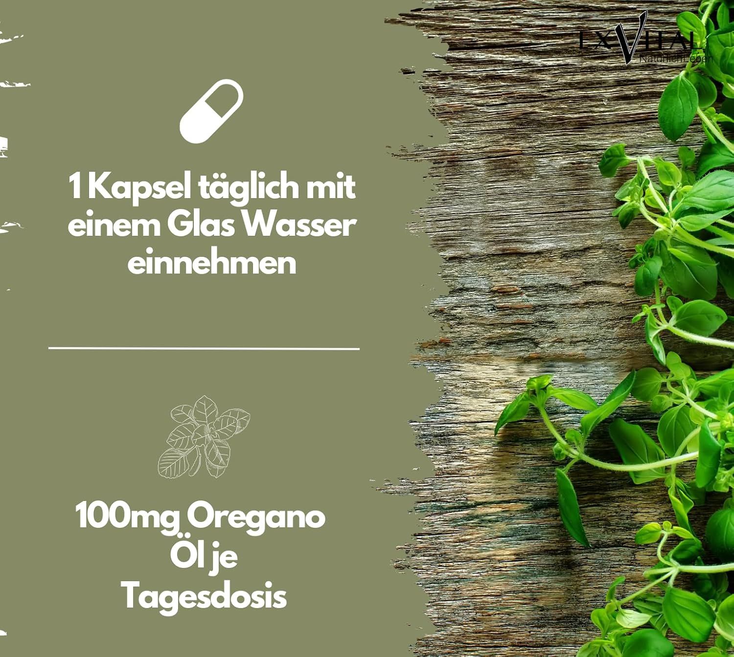 Grafik mit Text: 1 Kapsel täglich mit einem Glas Wasser einnehmen. 100mg Oregano Öl je Tagesdosis. Oregano-Zweig rechts.