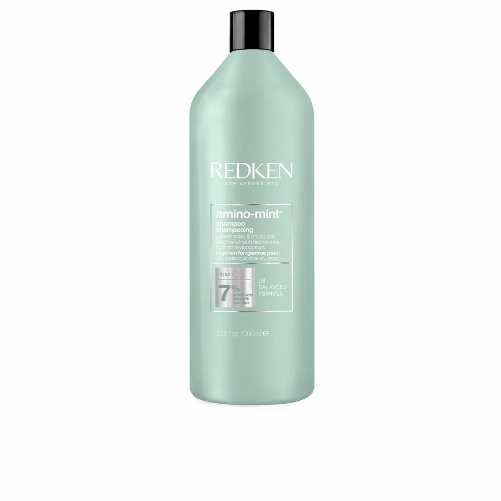 Hellgrüne Shampoo-Flasche mit schwarzem Deckel. Aufschrift Redken, amino-mint Shampoo. pH-Wert 7.