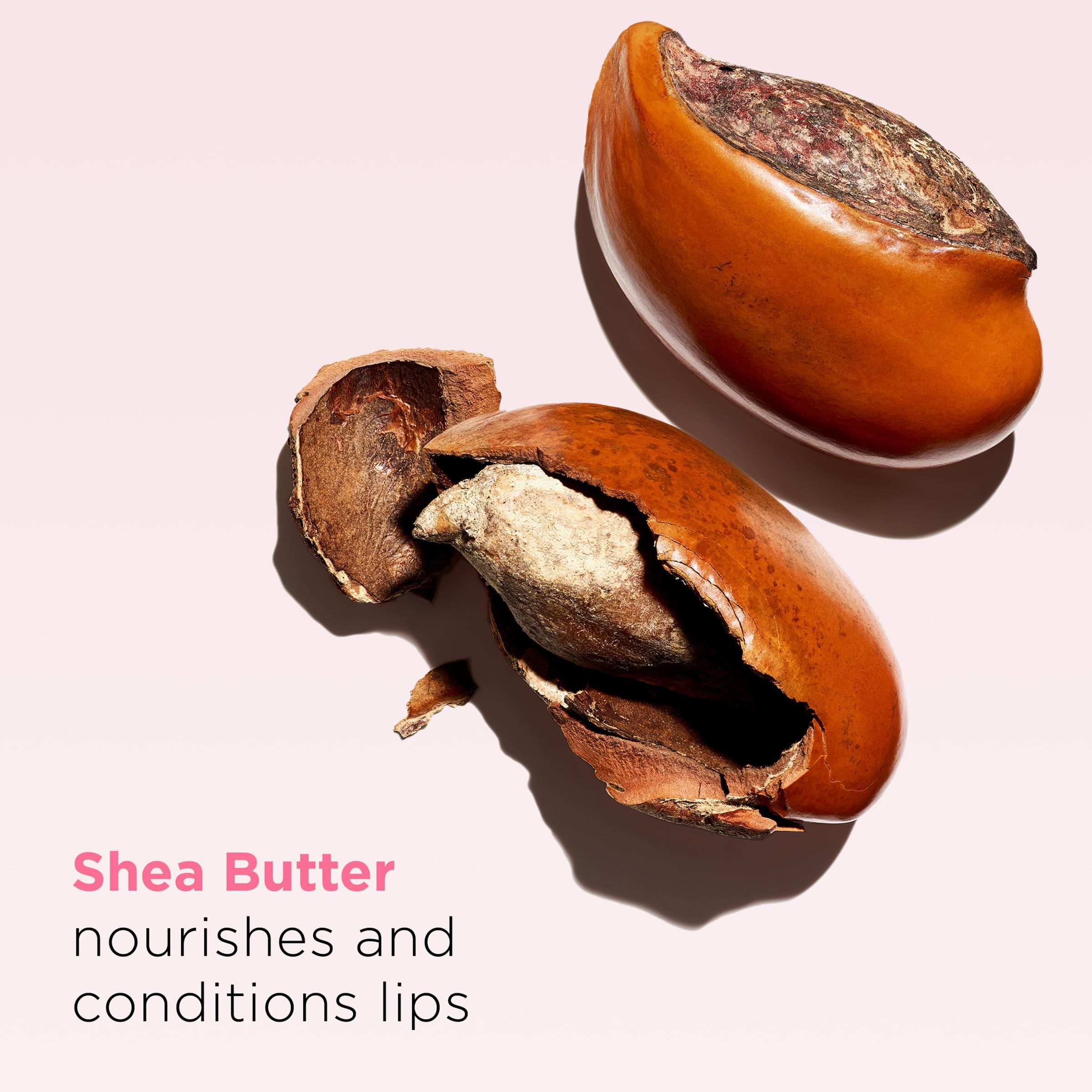 Zwei Sheabutter-Nüsse, eine geöffnet. Text: Sheabutter pflegt und pflegt die Lippen.