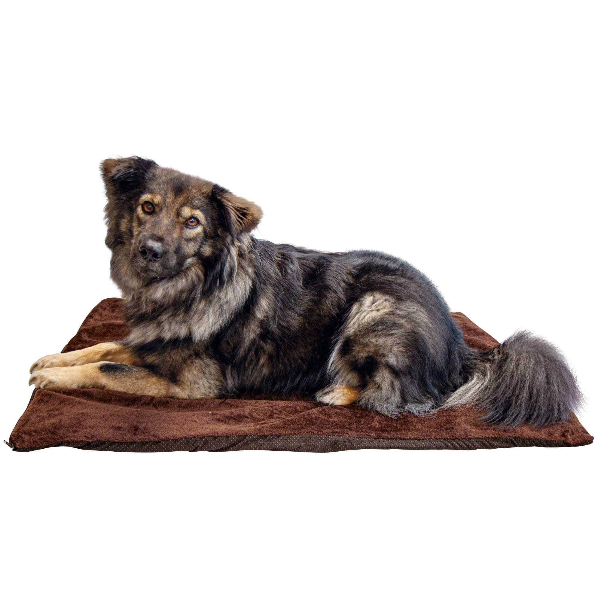 Braune Hunde-Liegedecke, rechteckig, mit Hund. Weiches Material, dunkle Farbe.