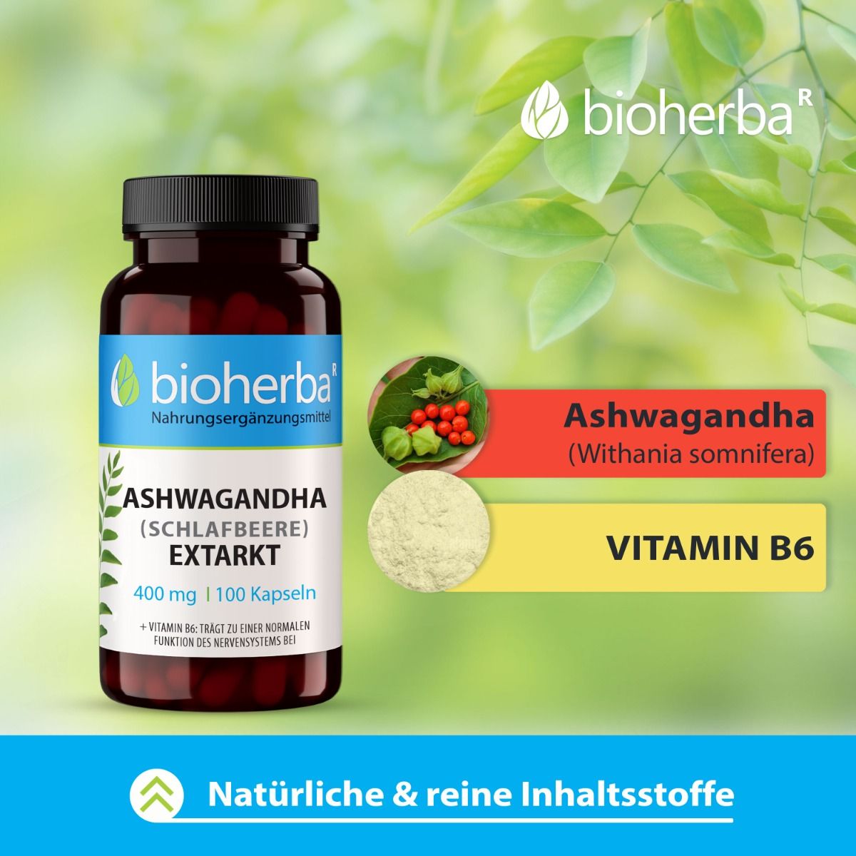 Braune Glasflasche mit Kapseln. Aufschrift: Ashwagandha Extrakt, 400 mg, 100 Kapseln. Abbildungen von Ashwagandha und Vitamin B6.