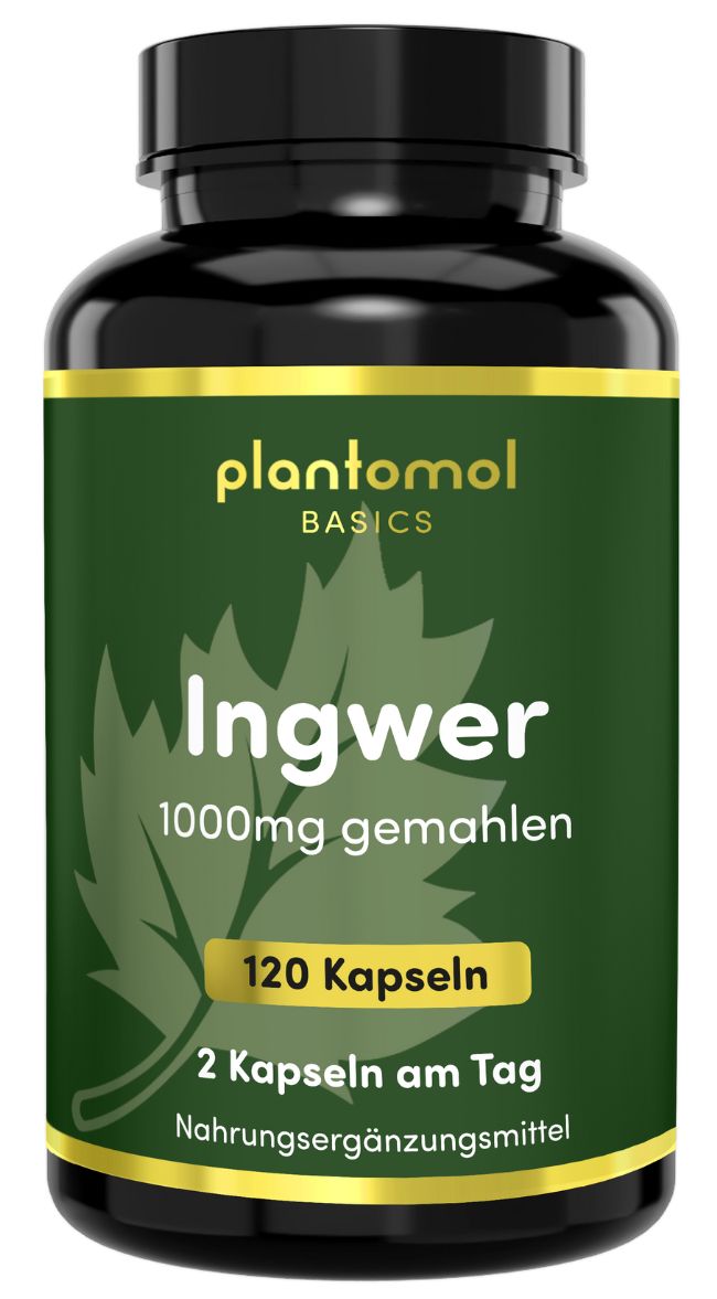 Braune Flasche mit grüner Etikette. Aufschrift: plantomol Basics Ingwer, 1000mg gemahlen, 120 Kapseln. Nahrungsergänzungsmittel.